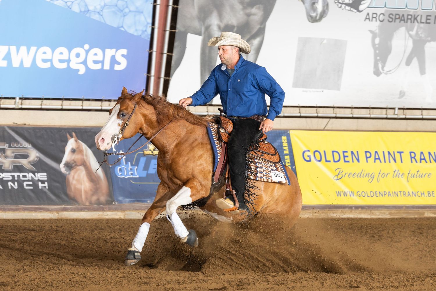 Action sequence of western riding competition with arena banners visible in background.