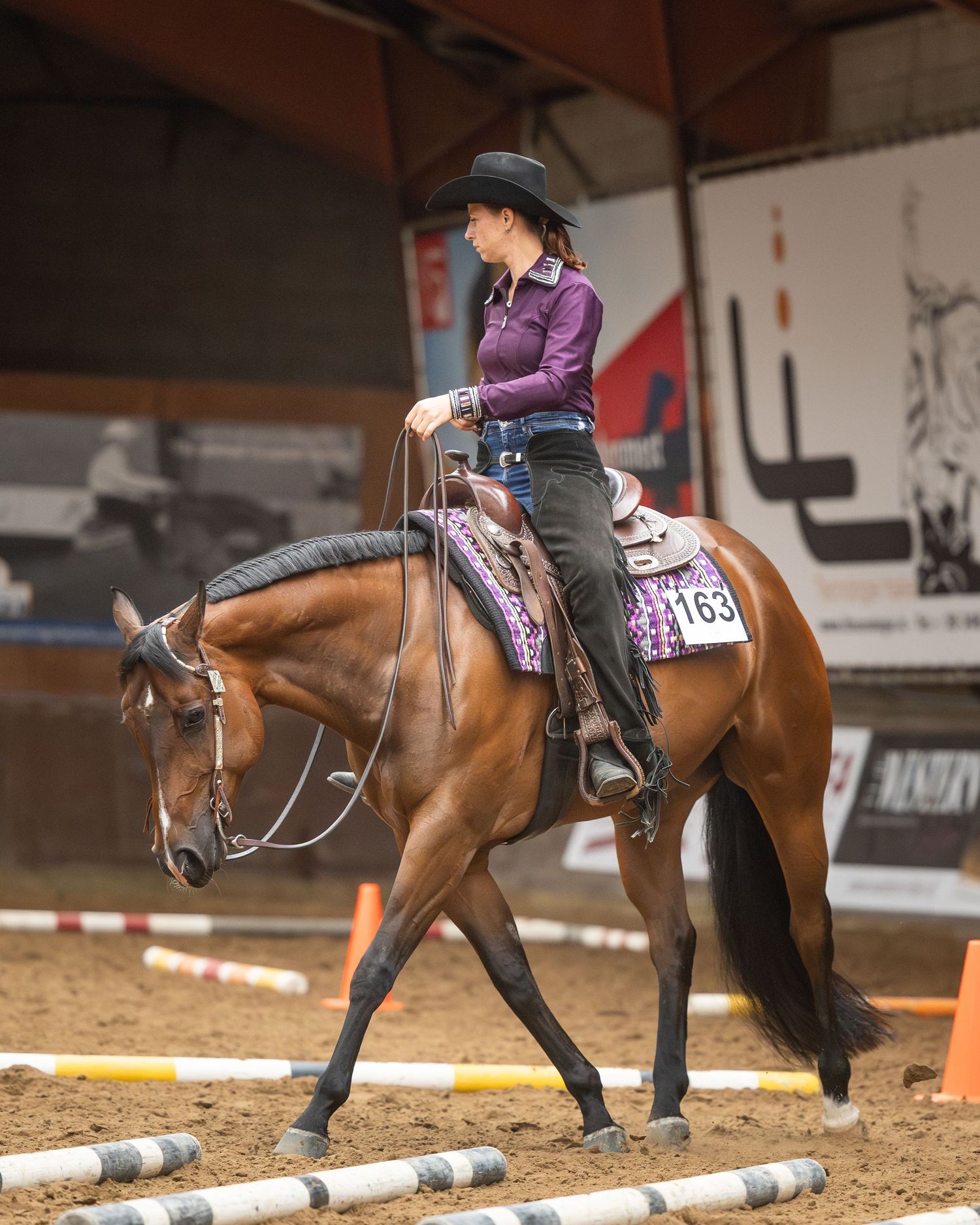 A female equestrian in a purple shirt and black hat rides a chestnut horse numbered 163 in an indoor arena.