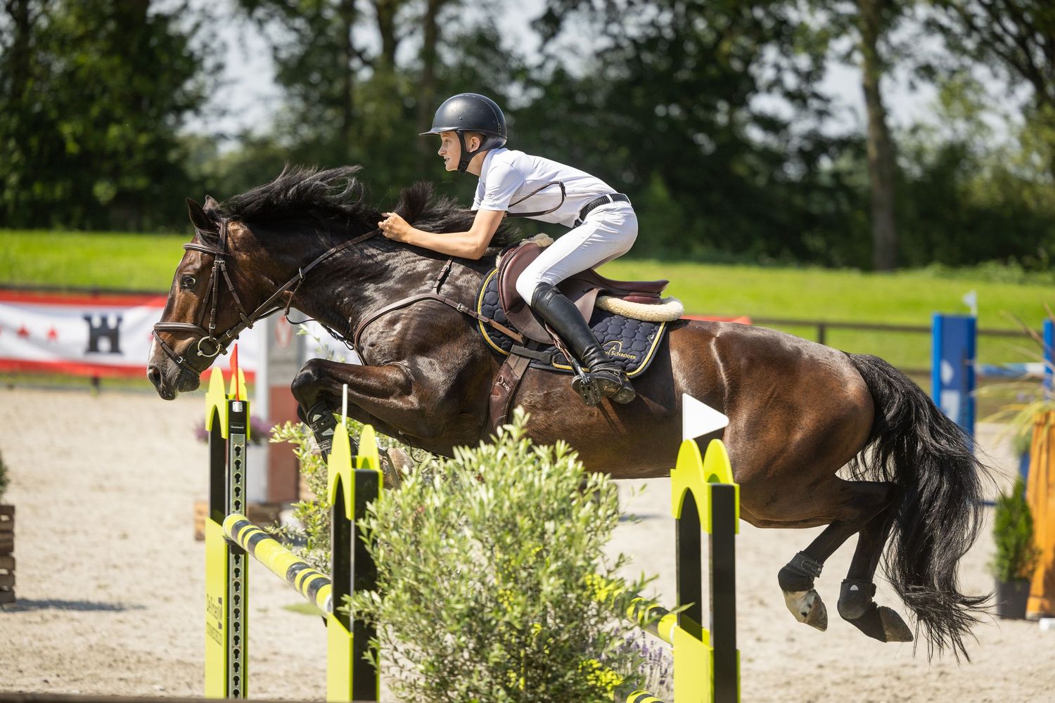 Equestrian rider on brown horse jumping over yellow poles in outdoor show jumping competition.