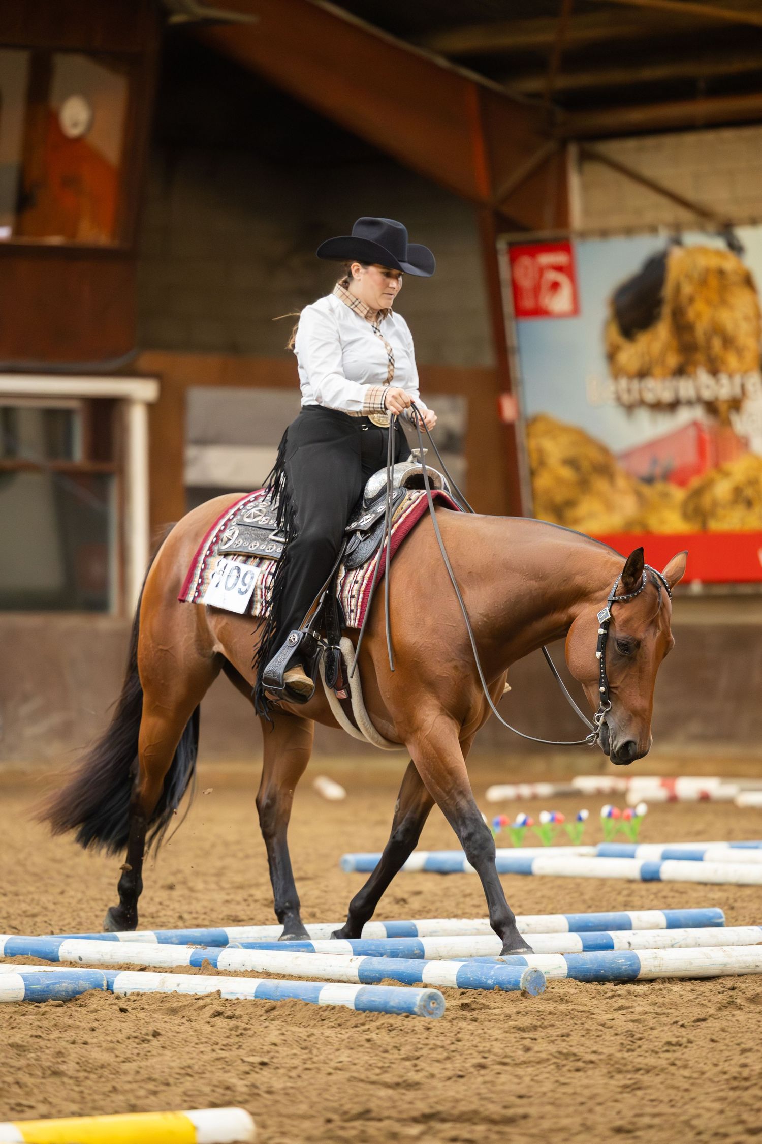 Horse and rider navigate blue and yellow poles in an indoor arena during an equestrian event.