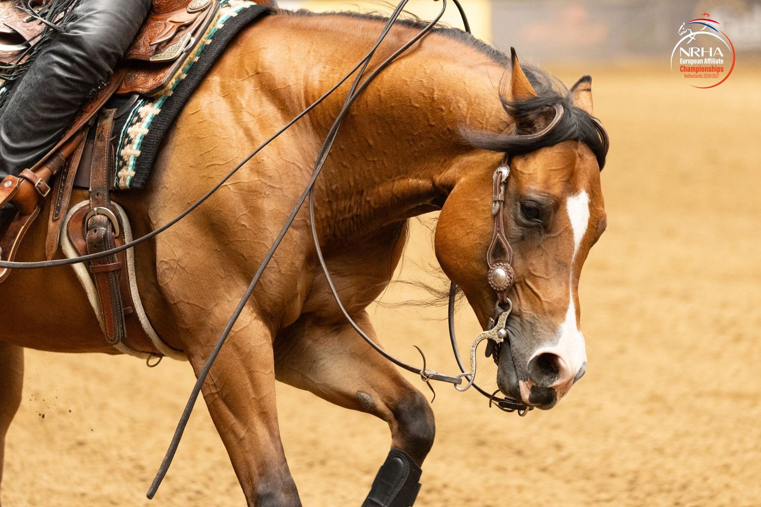 A bay horse with a white blaze being ridden in a Western reining competition on a dirt arena.