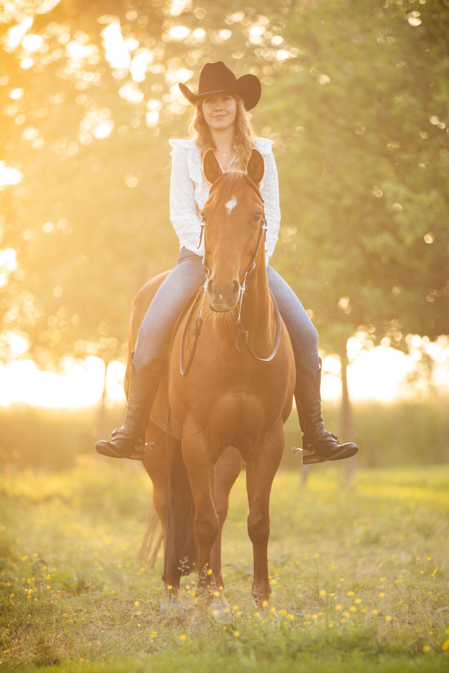 Horse and rider walking through meadow at sunset with golden backlight.