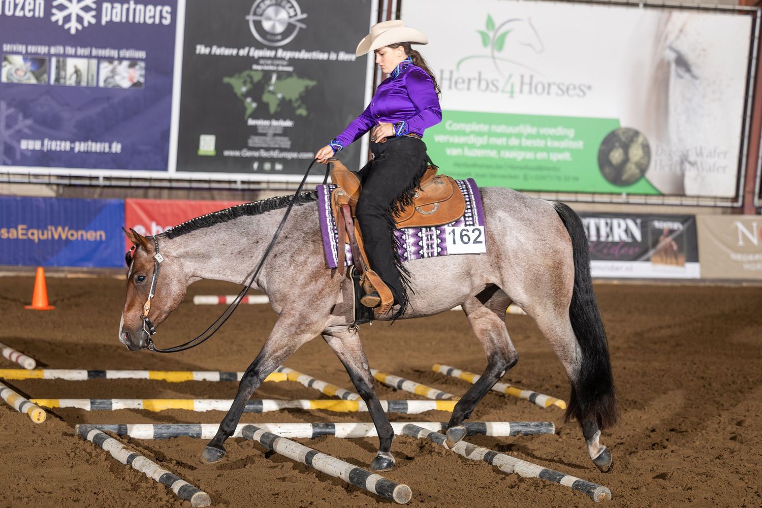 Rider in purple shirt on gray horse competing in Western reining event at indoor equestrian arena.