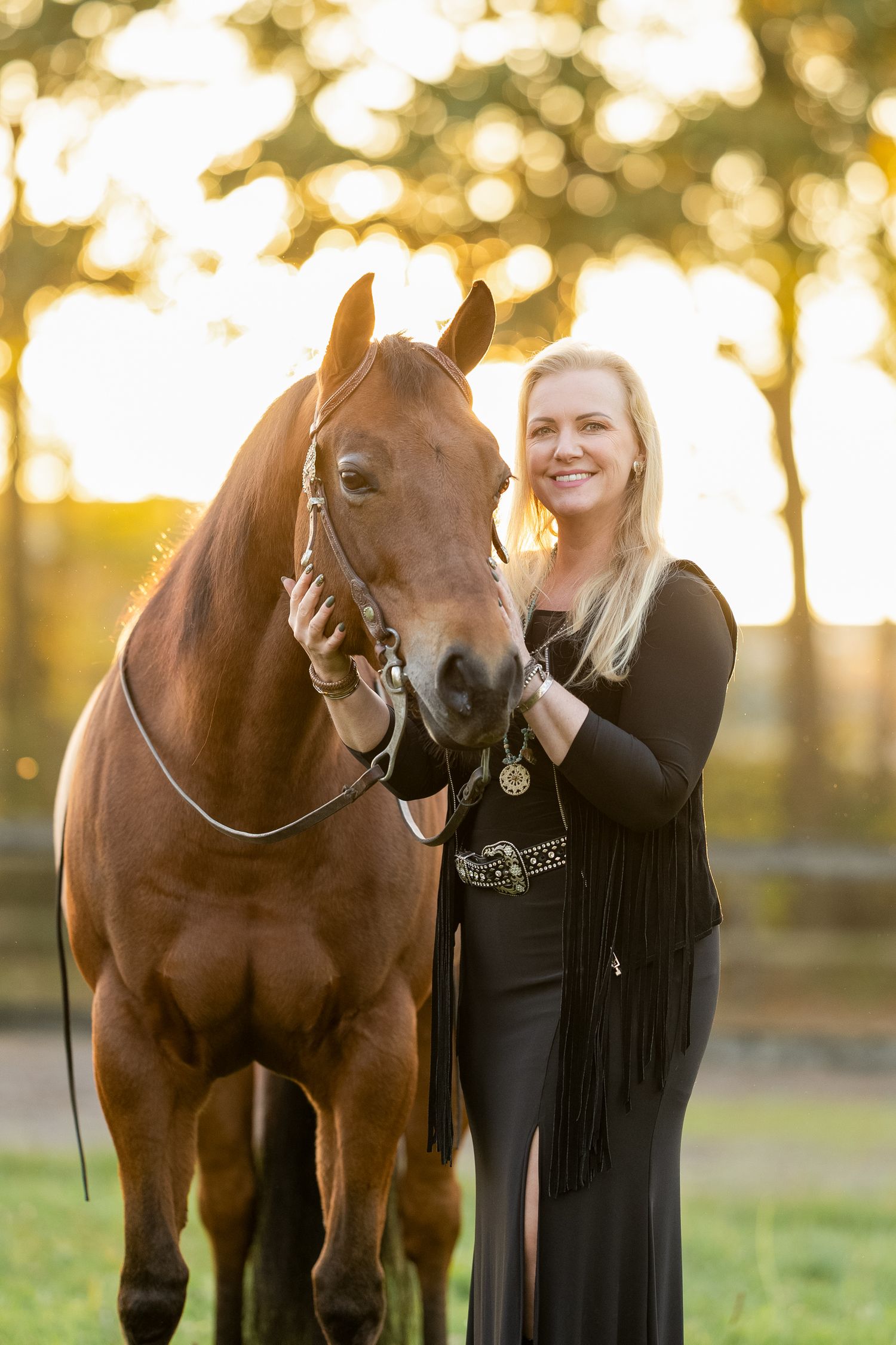 Brown horse standing in sunlit field during golden hour with trees in background.