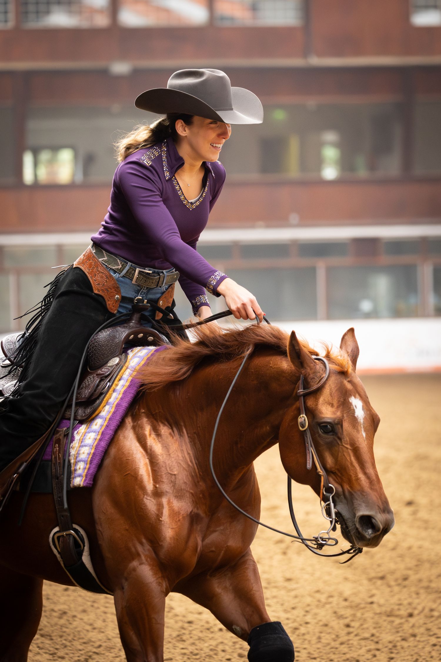 Western rider in purple shirt and cowboy hat expertly guides chestnut horse during indoor arena competition.