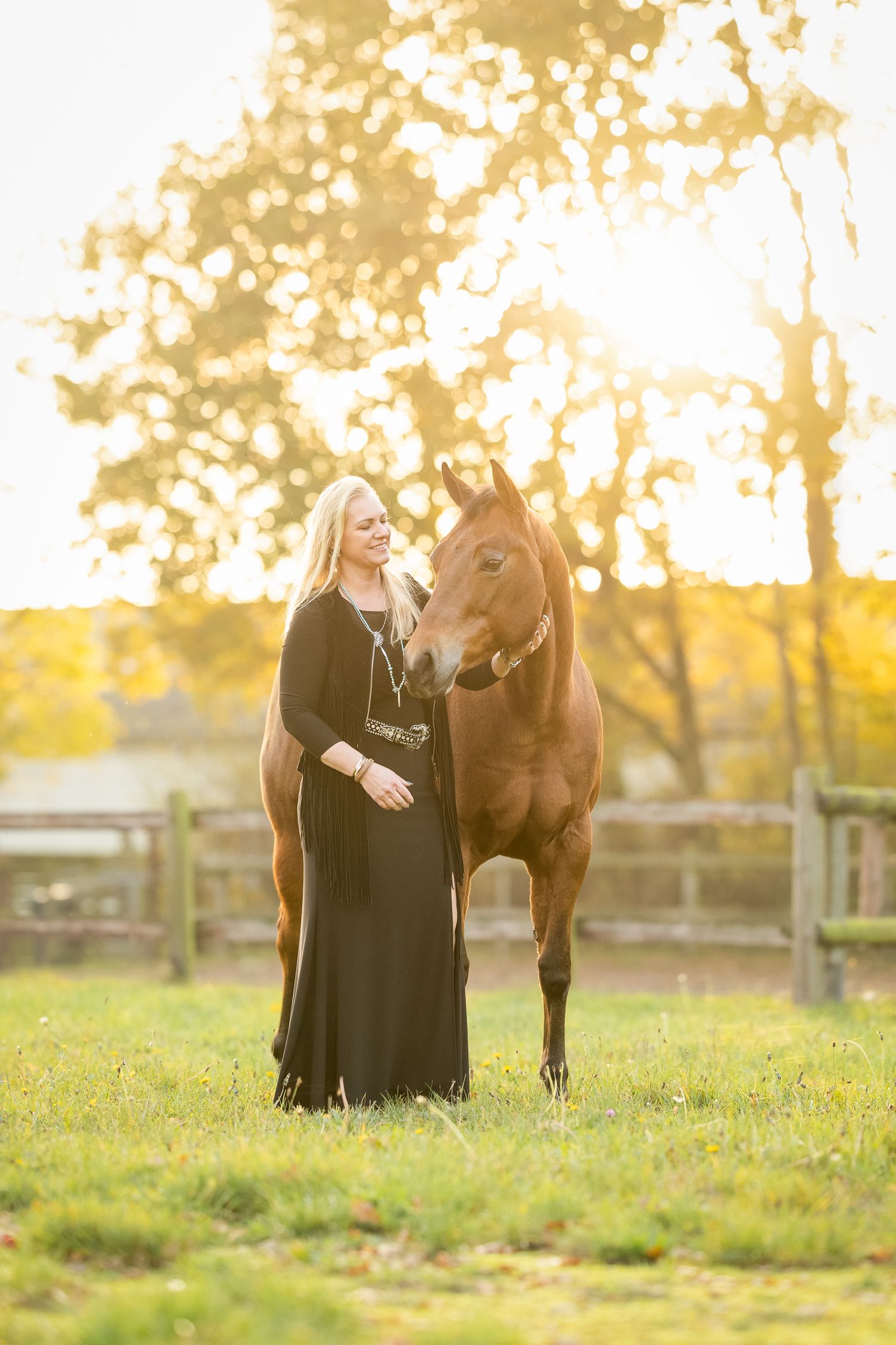 Person interacts with majestic brown Quarter horse in sunlit meadow.