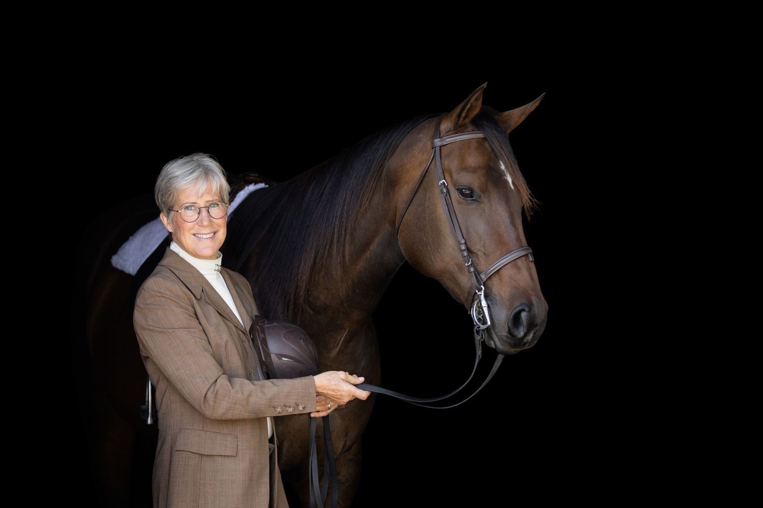 Brown horse with bridle photographed in studio against dark background.
