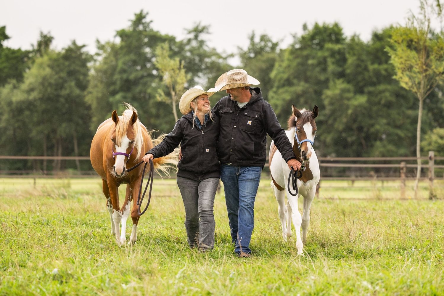 Multiple horses grazing in a fenced pasture with handlers visible in the background.