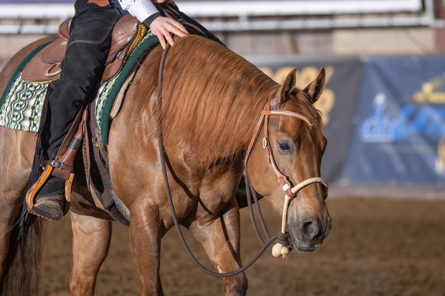 Horse and rider compete in a barrel racing event at a rodeo arena with dirt floor and arena barriers visible.