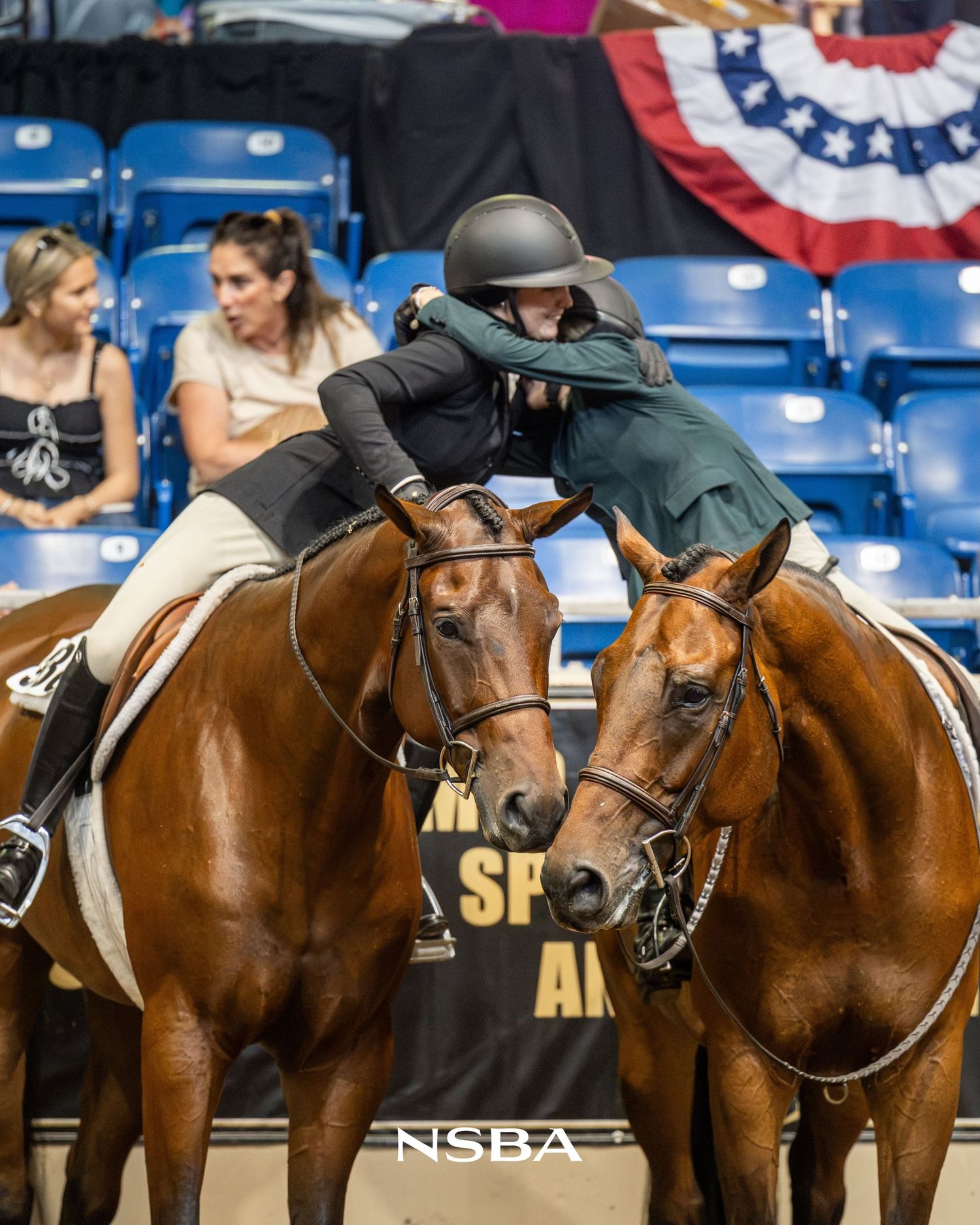 Two chestnut horses stand side by side as a rider leans forward in an the NSBA World Show