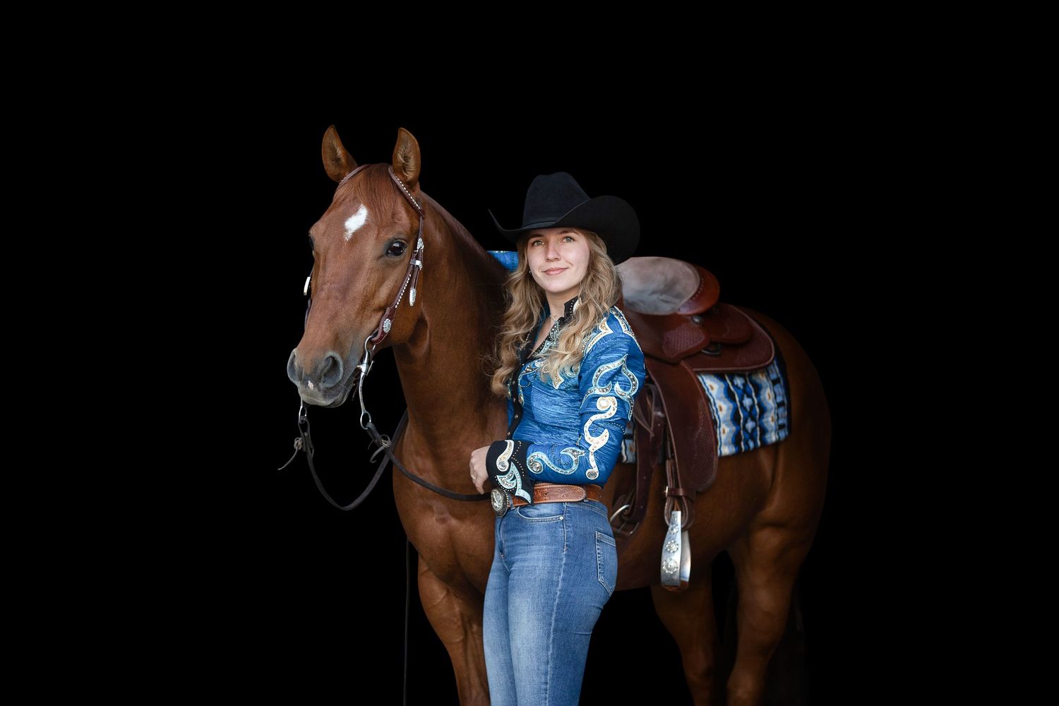 Chestnut Quarterhorse with western tack stands in studio against black backdrop.