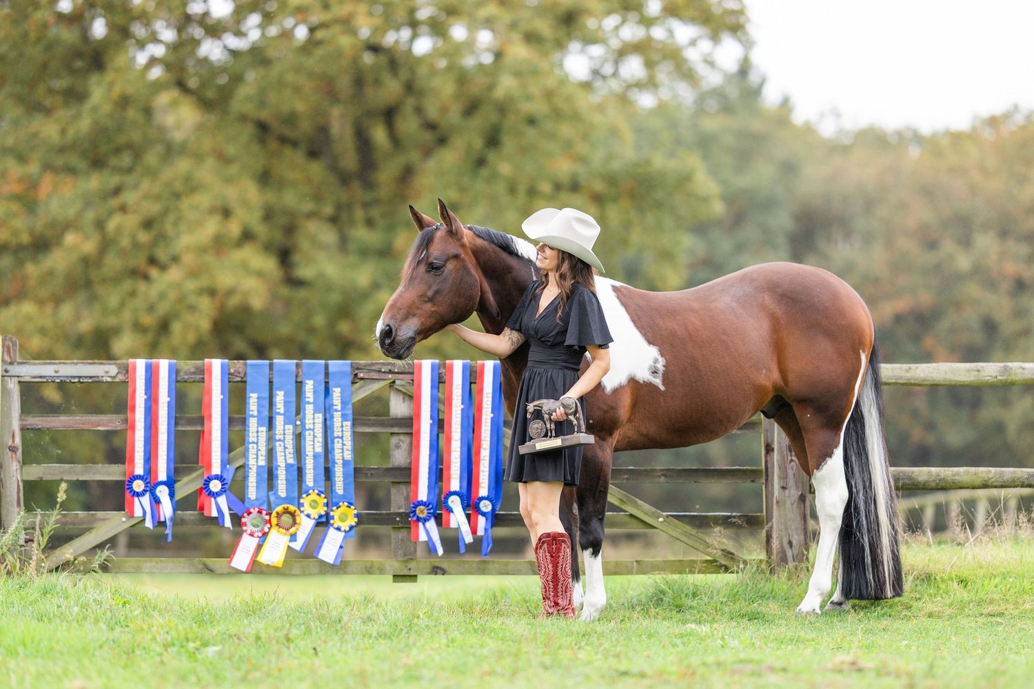 Show ribbons and horses visible in distance across green field.