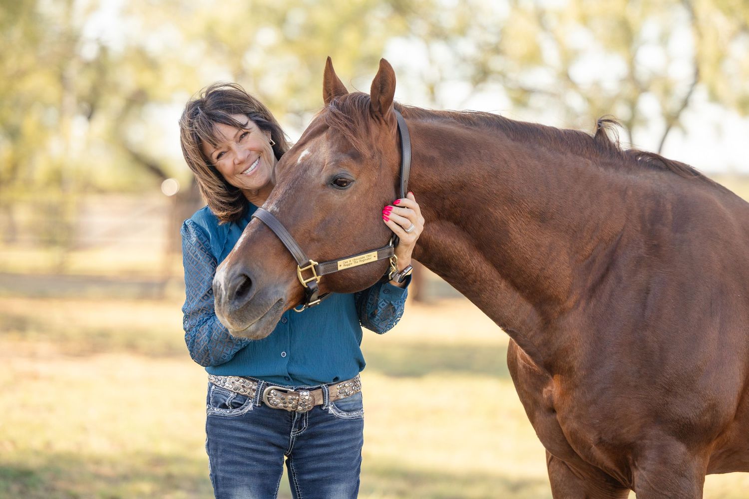 A brown horse and person in denim share a tender moment in warm afternoon light.