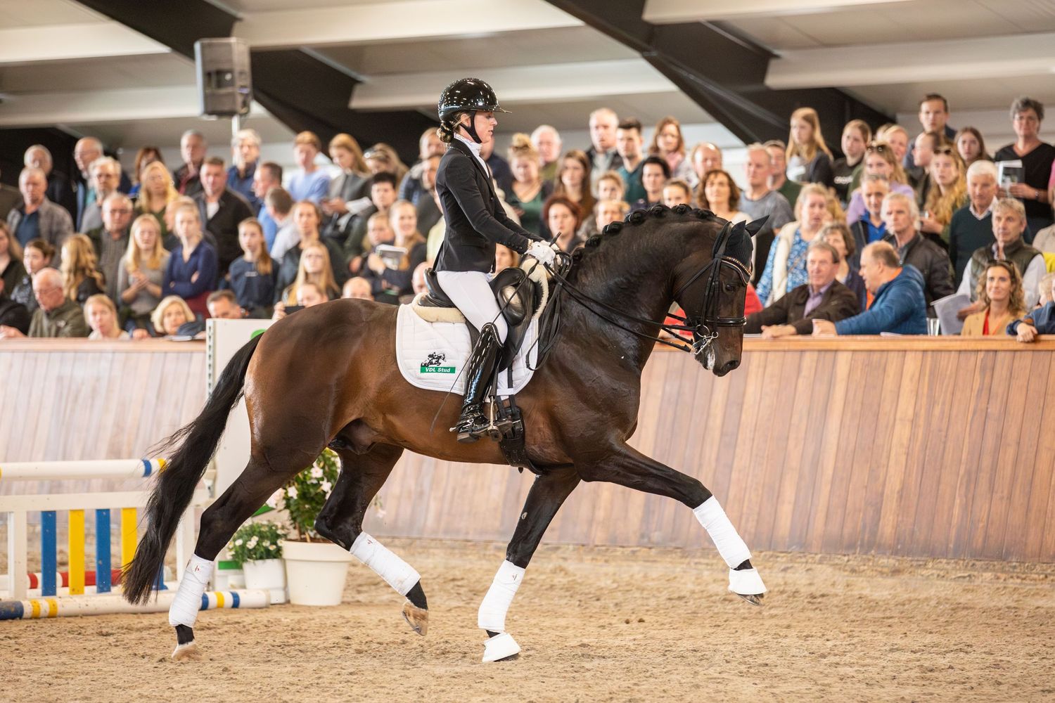 Horses galloping in formation during an equestrian performance in an indoor arena with spectators watching.