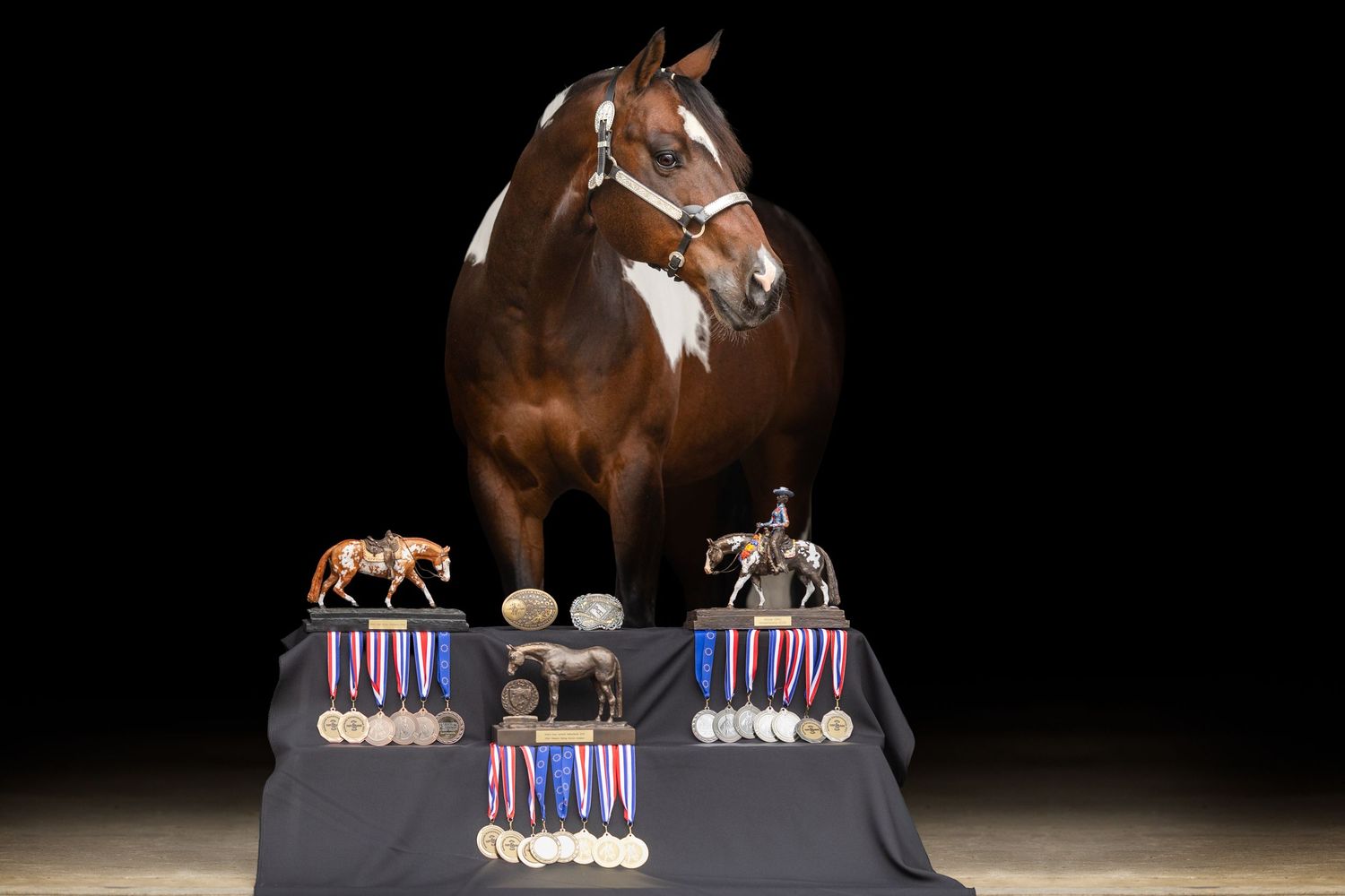Collection of competition medals and horse figurines displayed on dark surface.