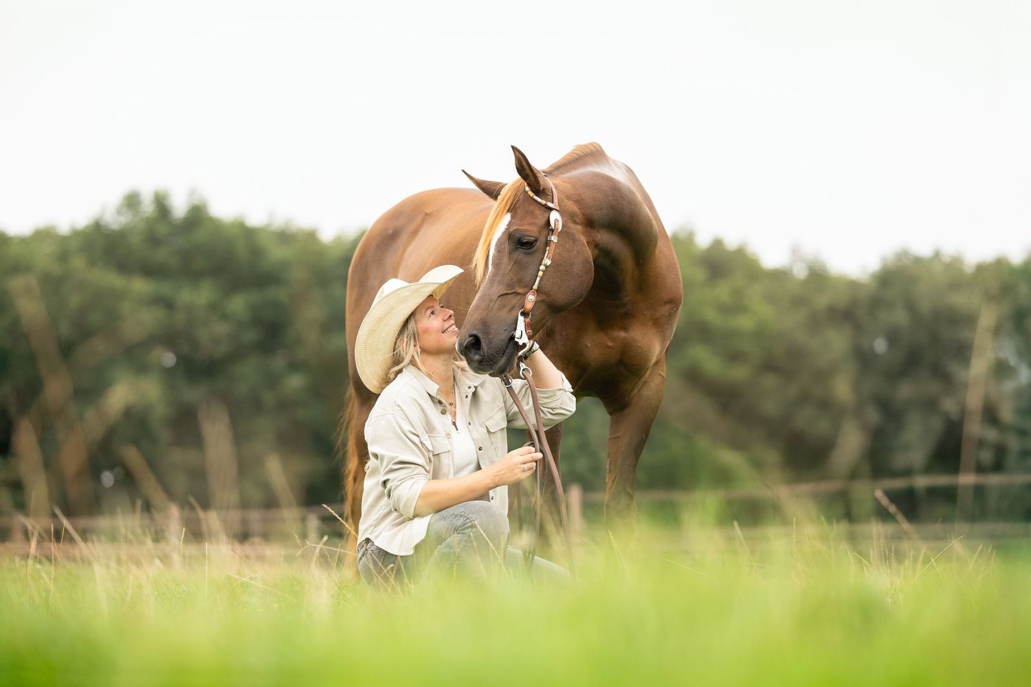 Horse and rider silhouetted against green field in artistic composition.