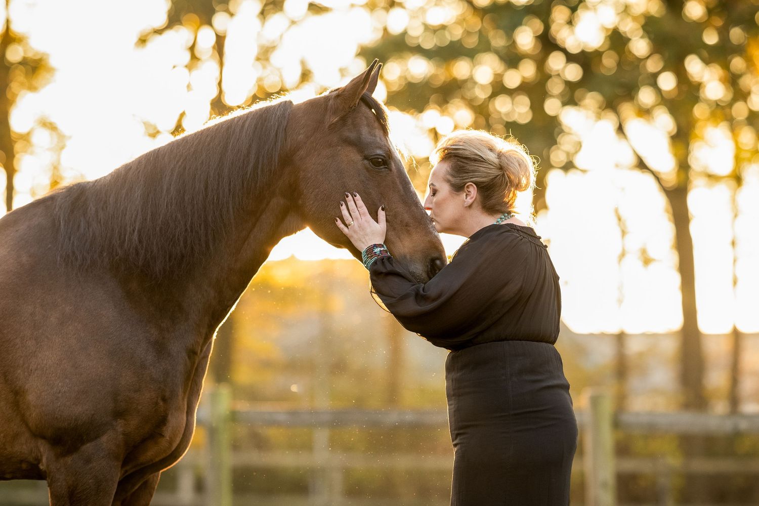 Horse and person sharing affectionate interaction in pasture with golden sunset lighting.