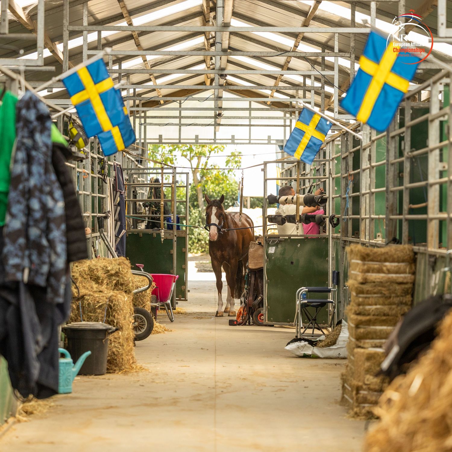 A horse standing in a stable aisle decorated with Swedish flags, surrounded by hay bales and equestrian equipment.