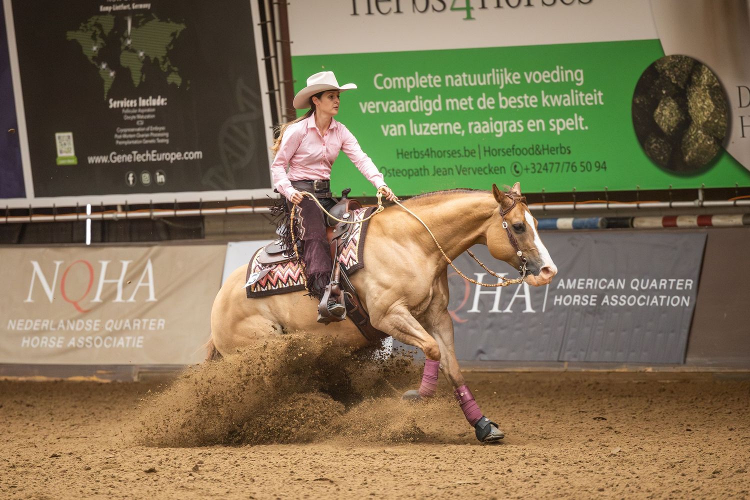 Rider in pink shirt on palomino horse performing reining slide stop in indoor arena at American Quarter Horse Association event.