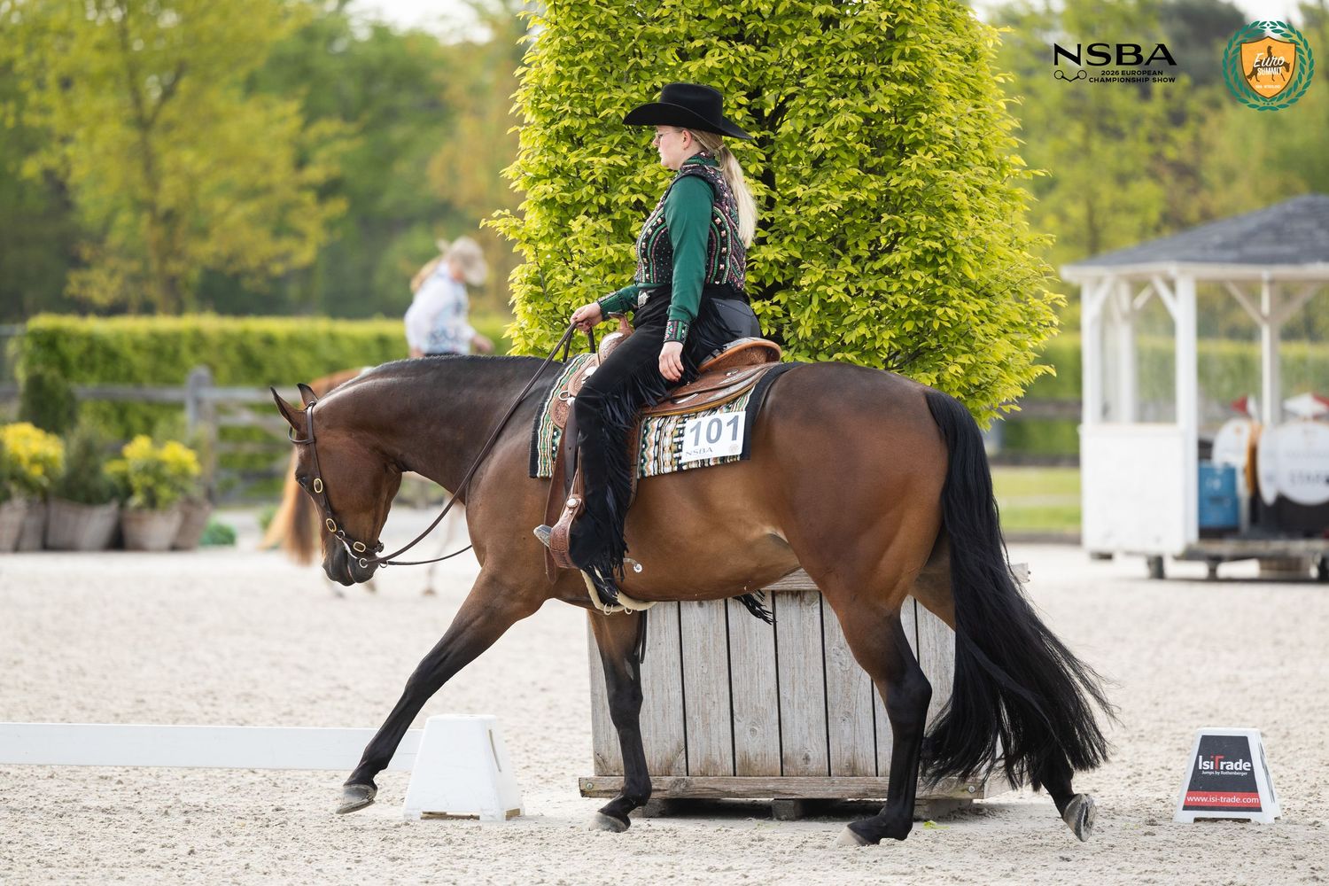Young equestrian rider on chestnut horse competing at NSBA show on sandy arena.