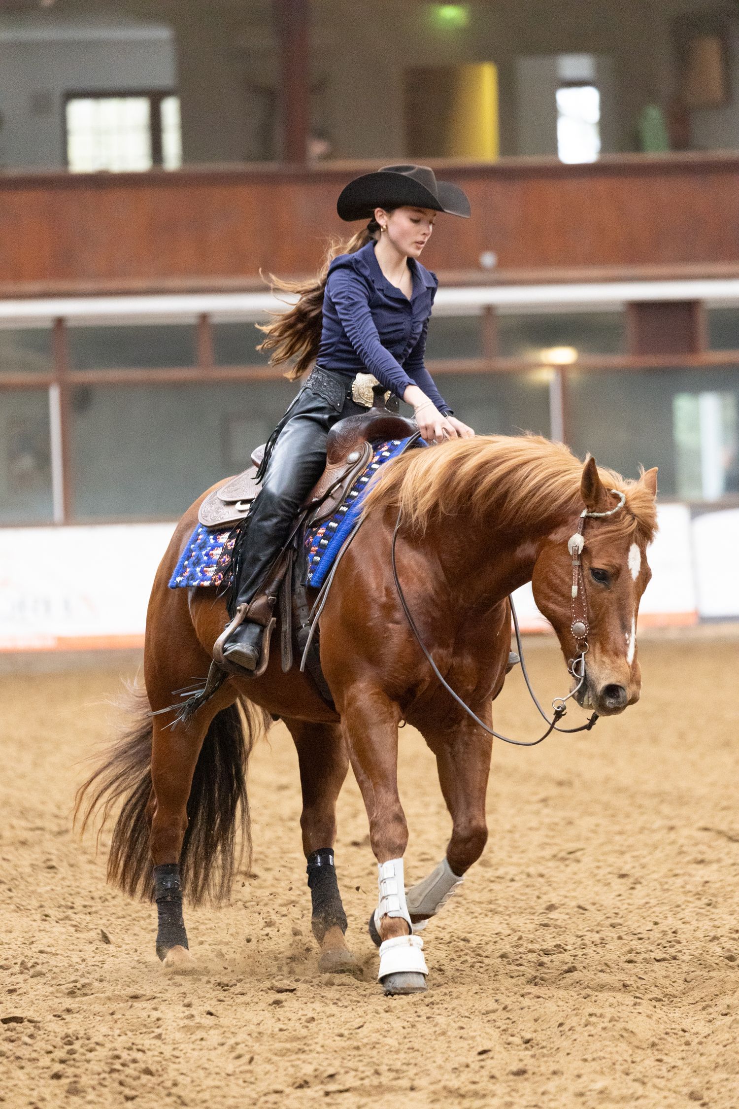 A sequence of photos showing a rider performing a sliding stop maneuver on a western horse in a sandy arena.