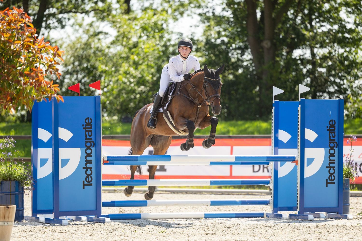 Equestrian rider on brown horse jumping over blue fence obstacle in show jumping competition outdoors.