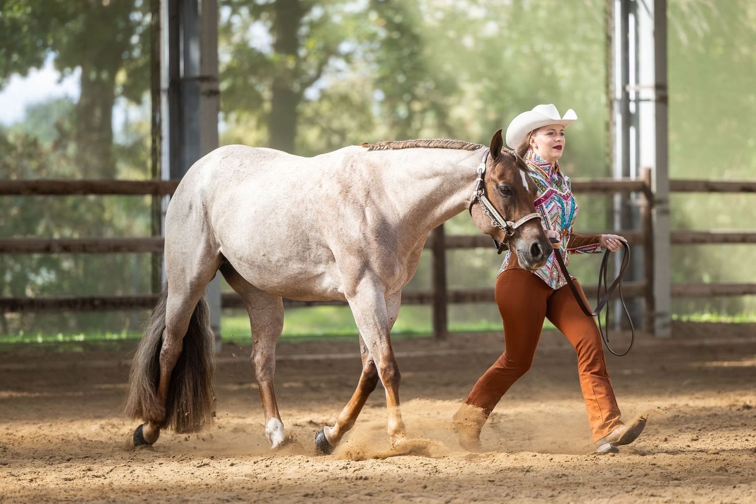 A cowgirl in a white hat leads a gray horse through a dusty outdoor arena surrounded by wooden fencing.