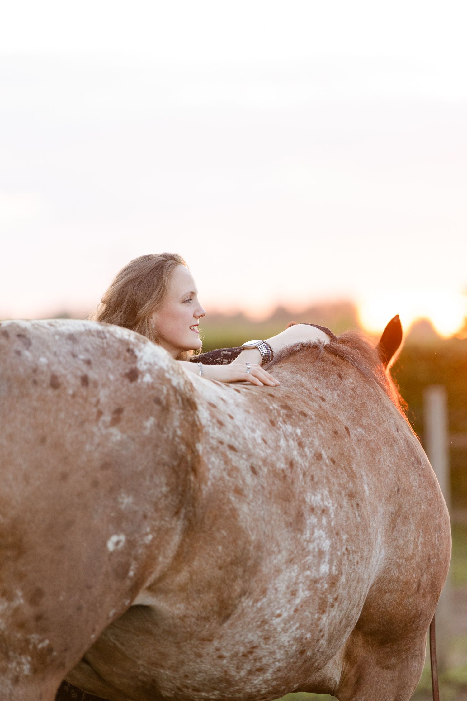 Someone rests against a spotted horse's back during golden hour in a field.