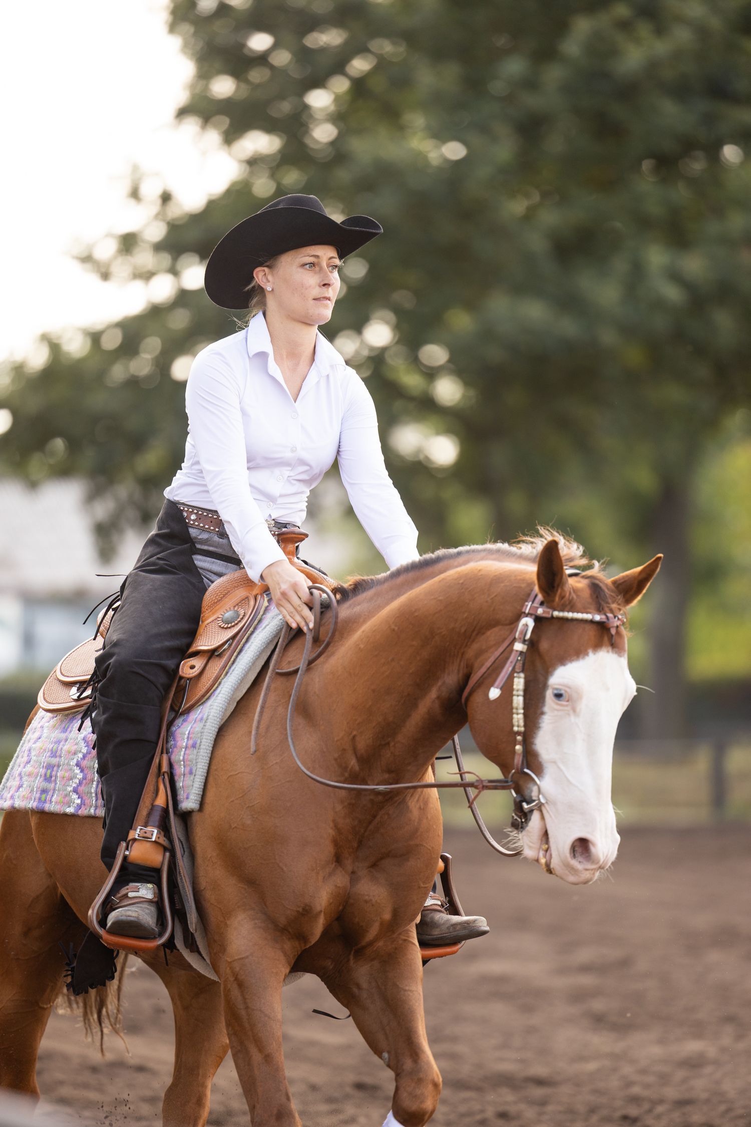 Rider guiding chestnut horse through precise movements in sandy arena during competition.
