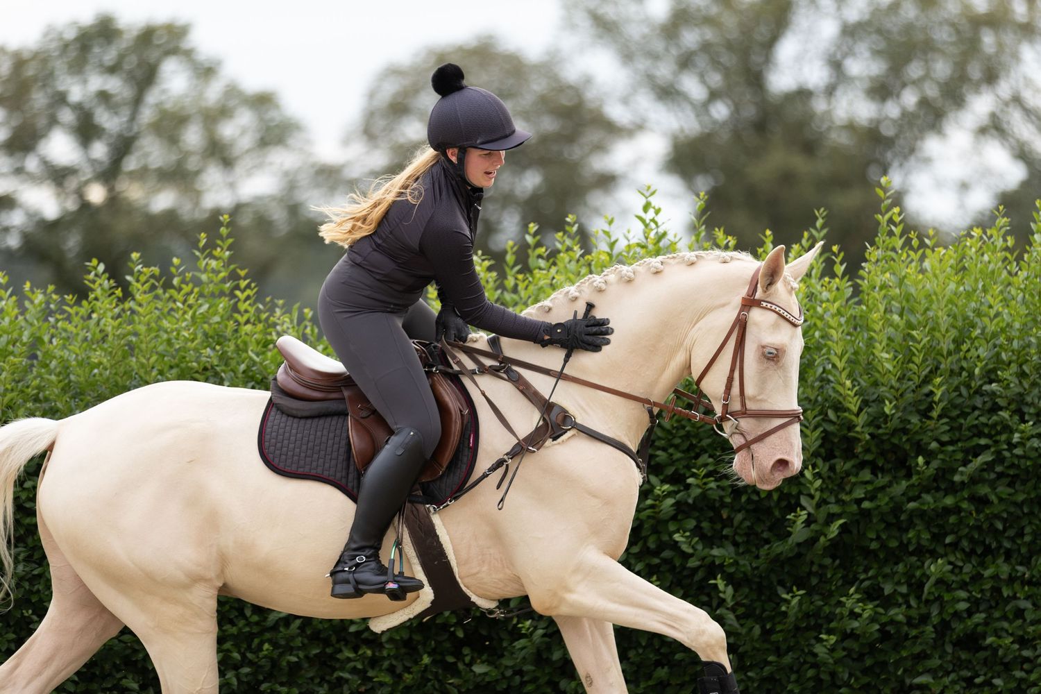 A cream-colored horse and rider cantering past green hedges in an equestrian arena.