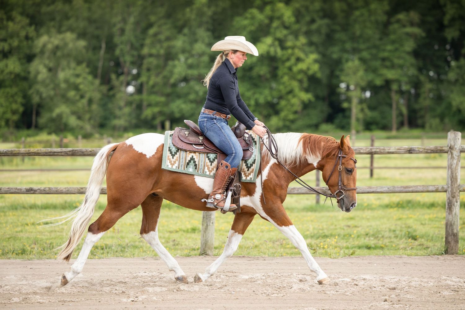 Horse and rider moving through exercises in a sandy training arena.