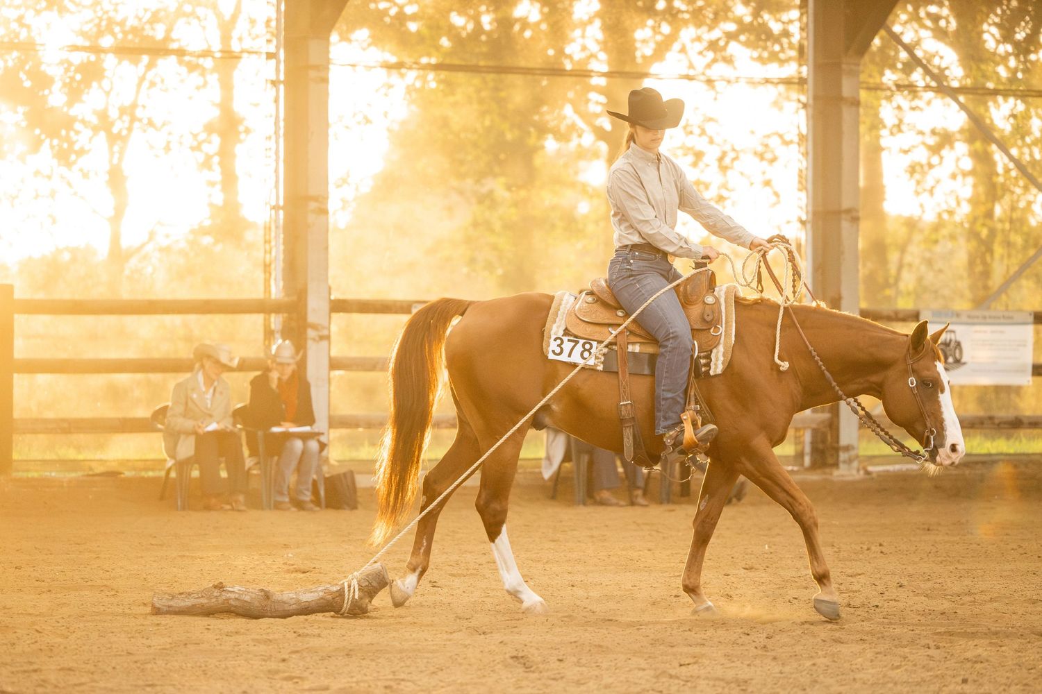 Cowboy on chestnut horse roping cattle at golden hour in a western arena.