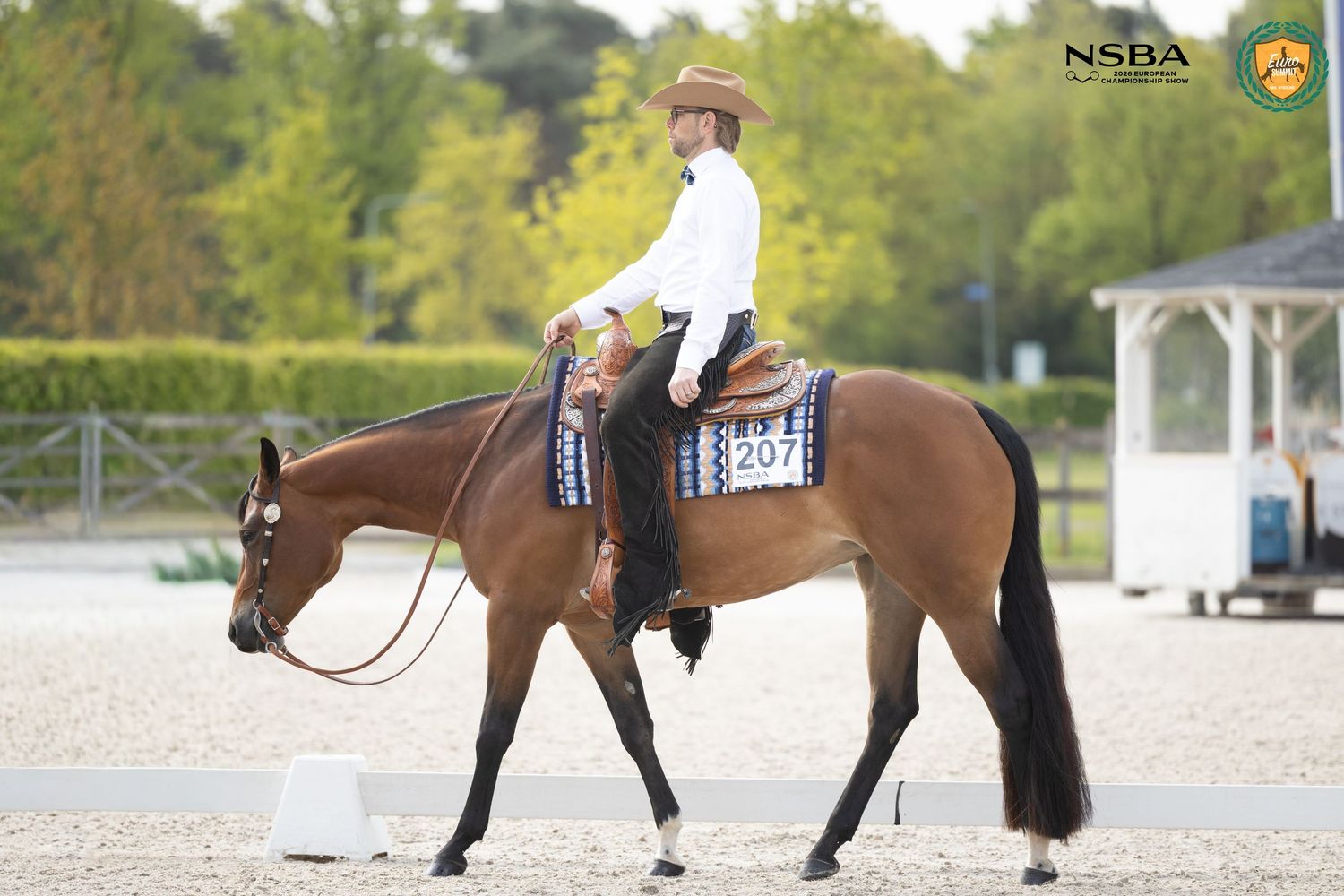 Rider in white shirt and cowboy hat on a chestnut horse numbered 207 at an NSDA equestrian competition.