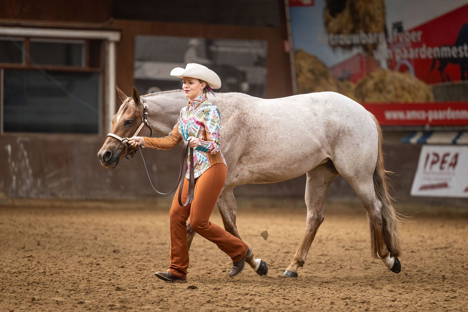 Woman in cowboy hat and orange pants leading a gray horse in an indoor equestrian arena competition.