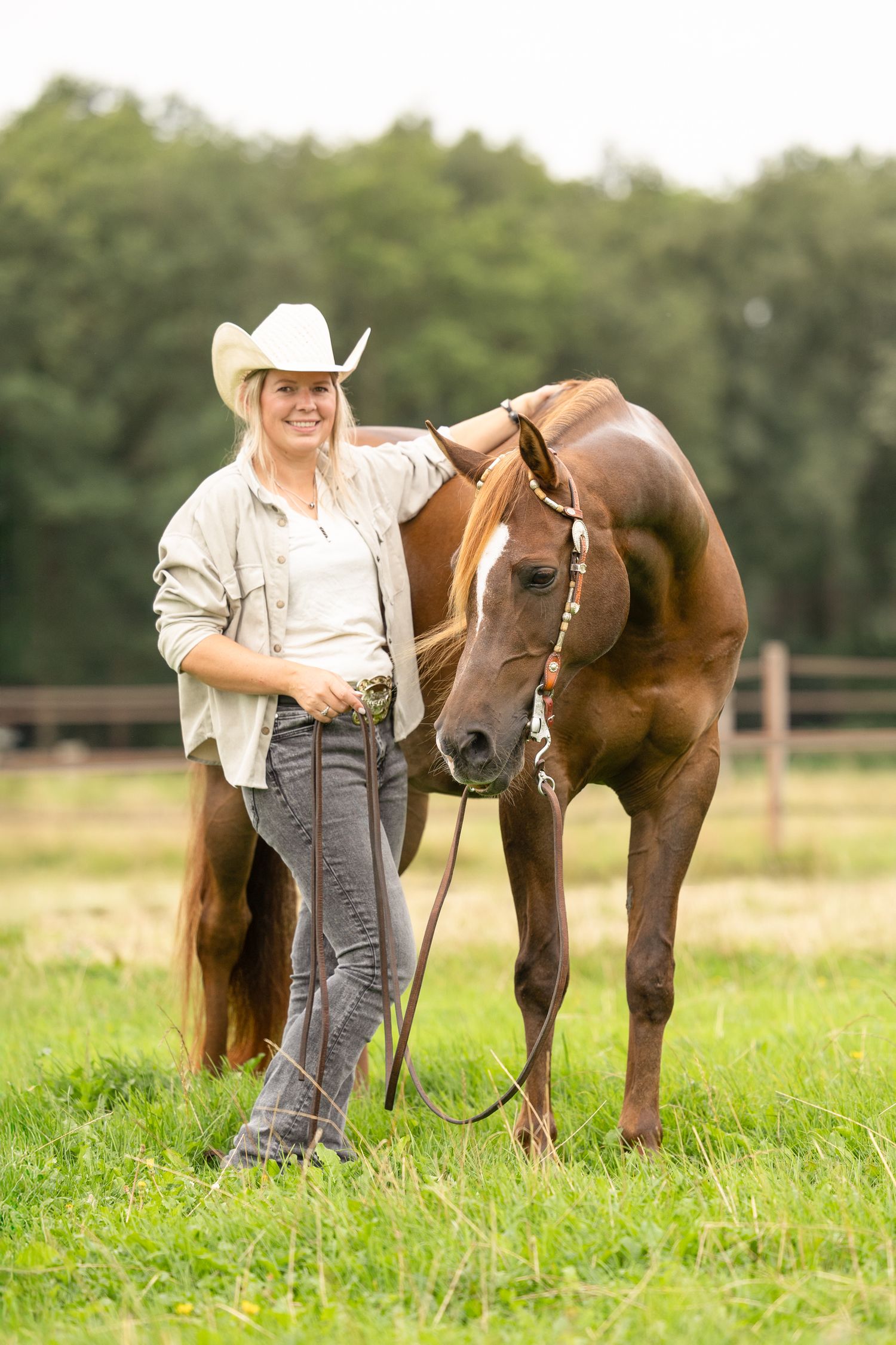 A brown horse being led through a green pasture wearing a halter.