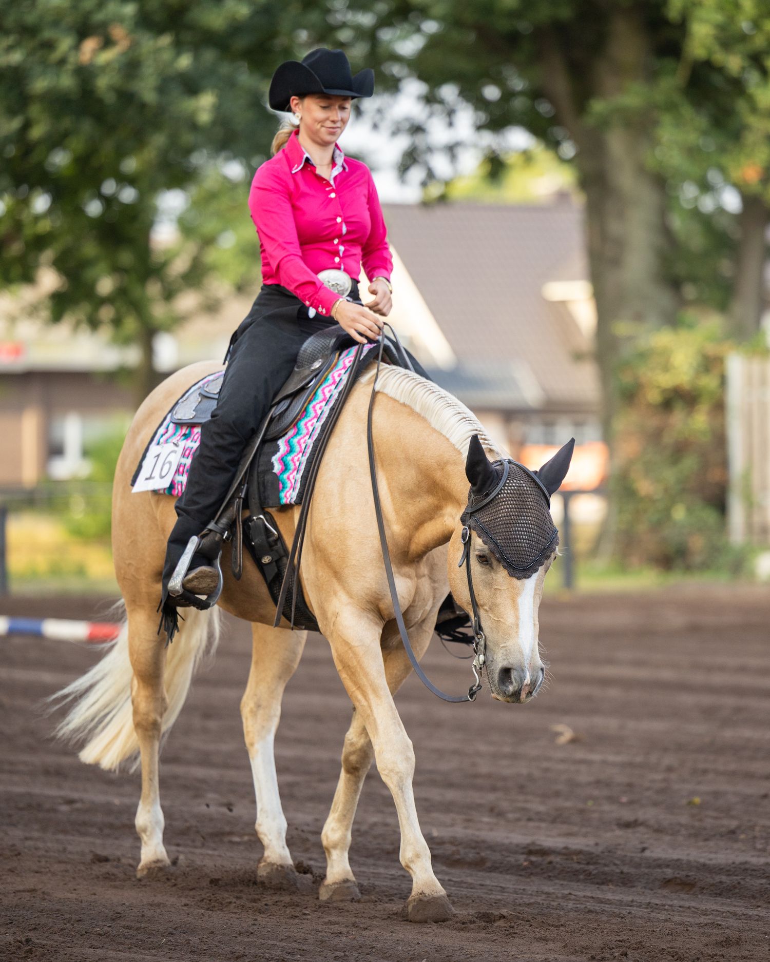 Palomino horse performing western pleasure movements in sandy arena during competition.