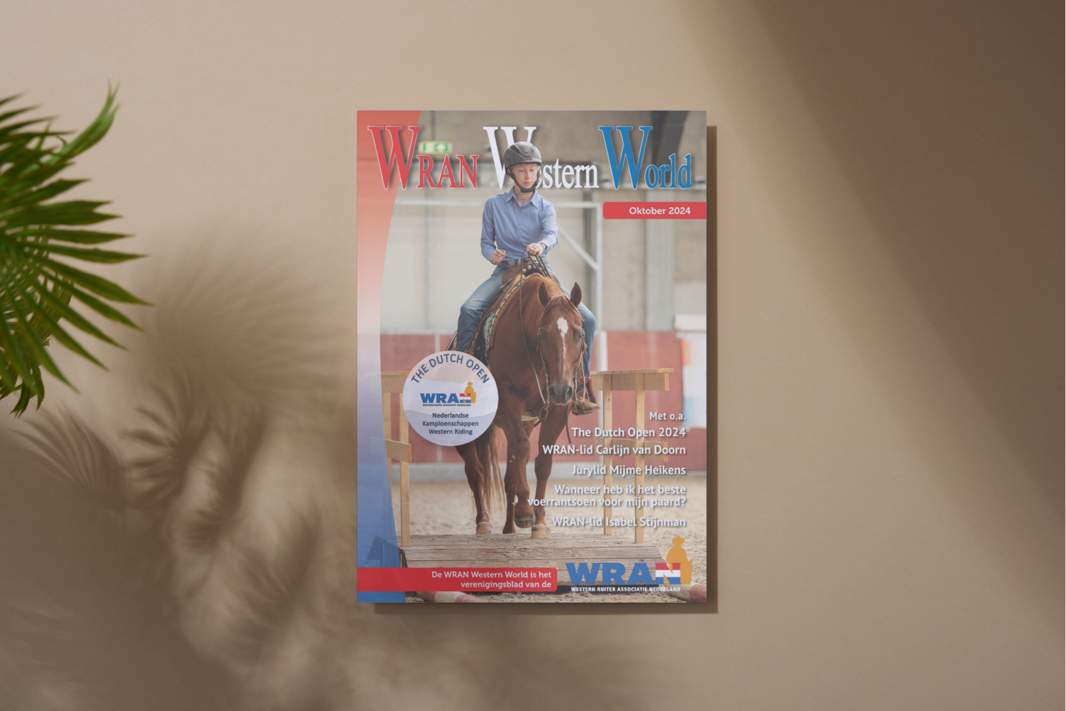 Magazine covers displayed on a beige wall with plant shadows.
