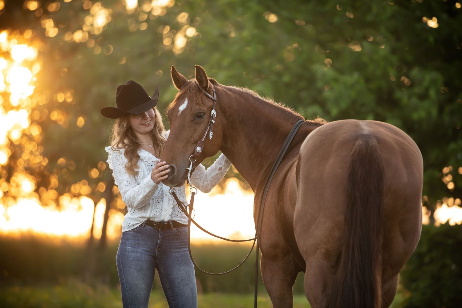 A brown Quarterhorse and rider in western attire interact in a sunlit field during golden hour.