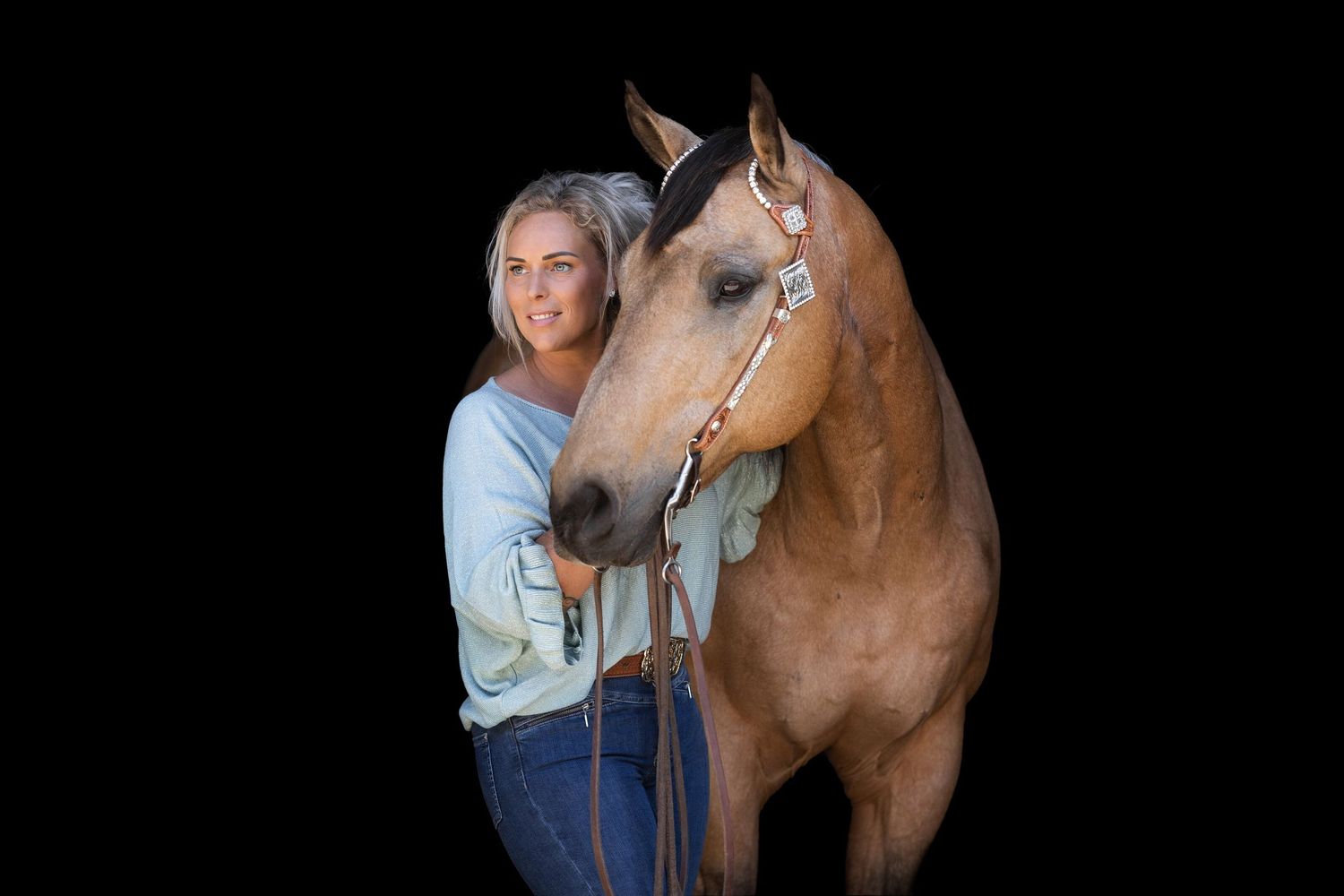 Brown horse with white markings being groomed and handled outdoors.