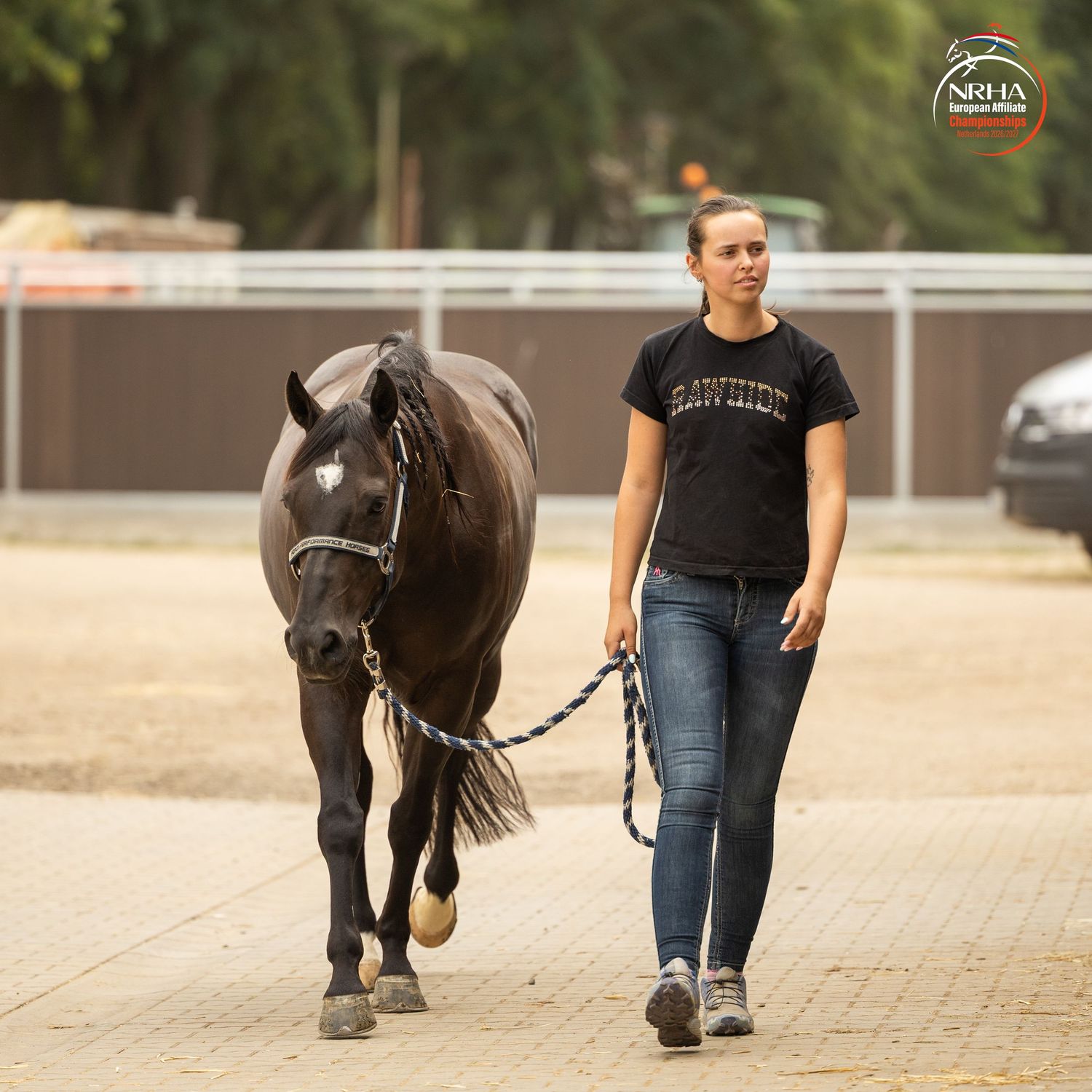 Woman in black shirt leading a dark horse on a lead rope at an equestrian arena competition.