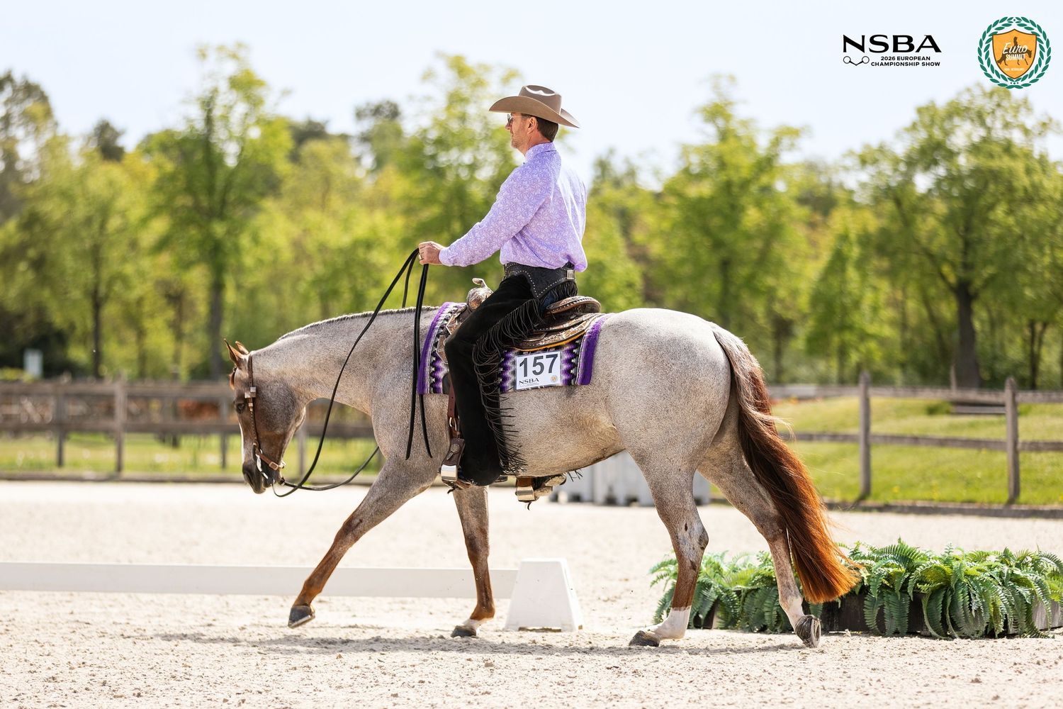 A rider in purple western attire guides a grey horse during an NSBA outdoor arena competition.