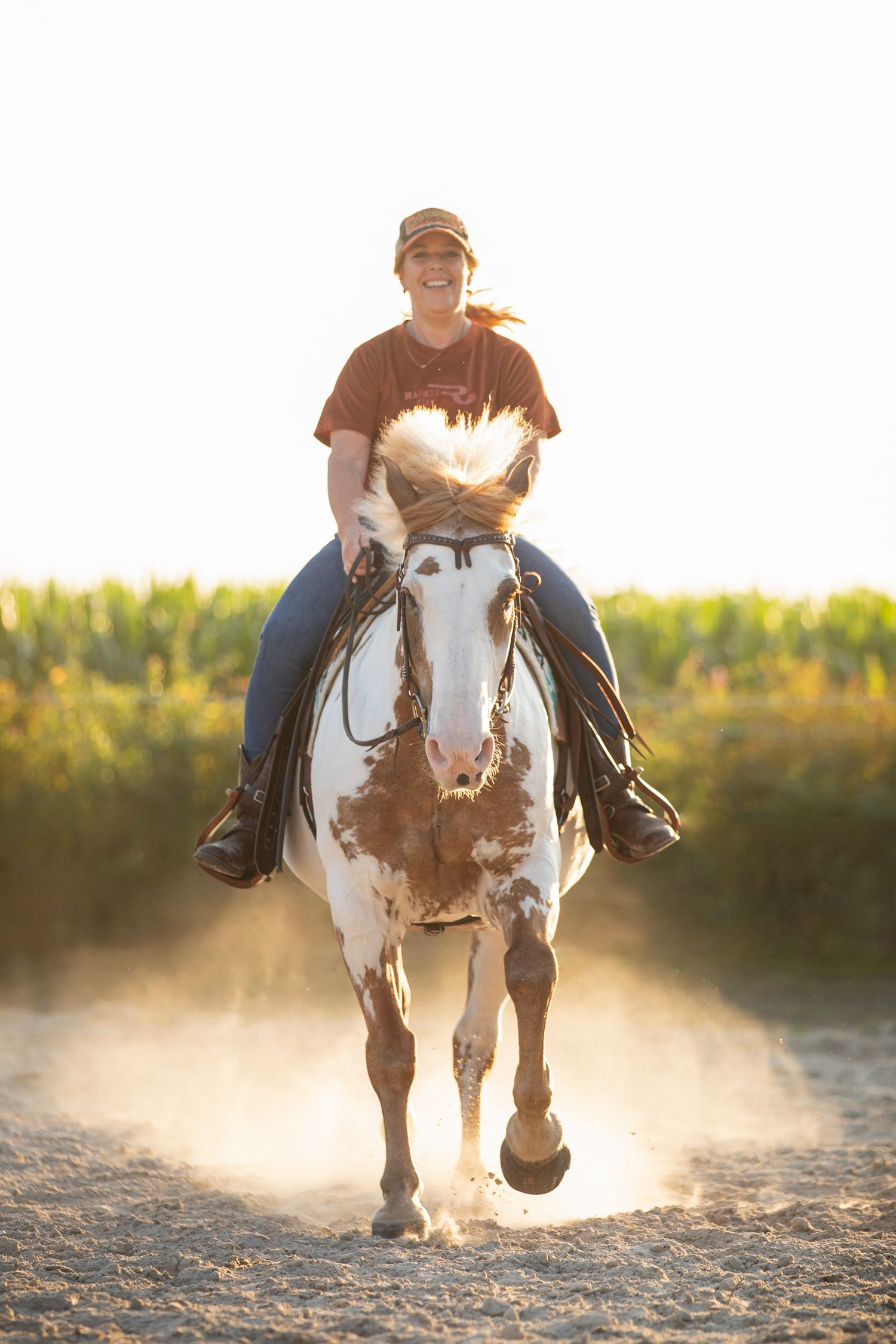Horse and rider kicking up dust while riding at sunset.