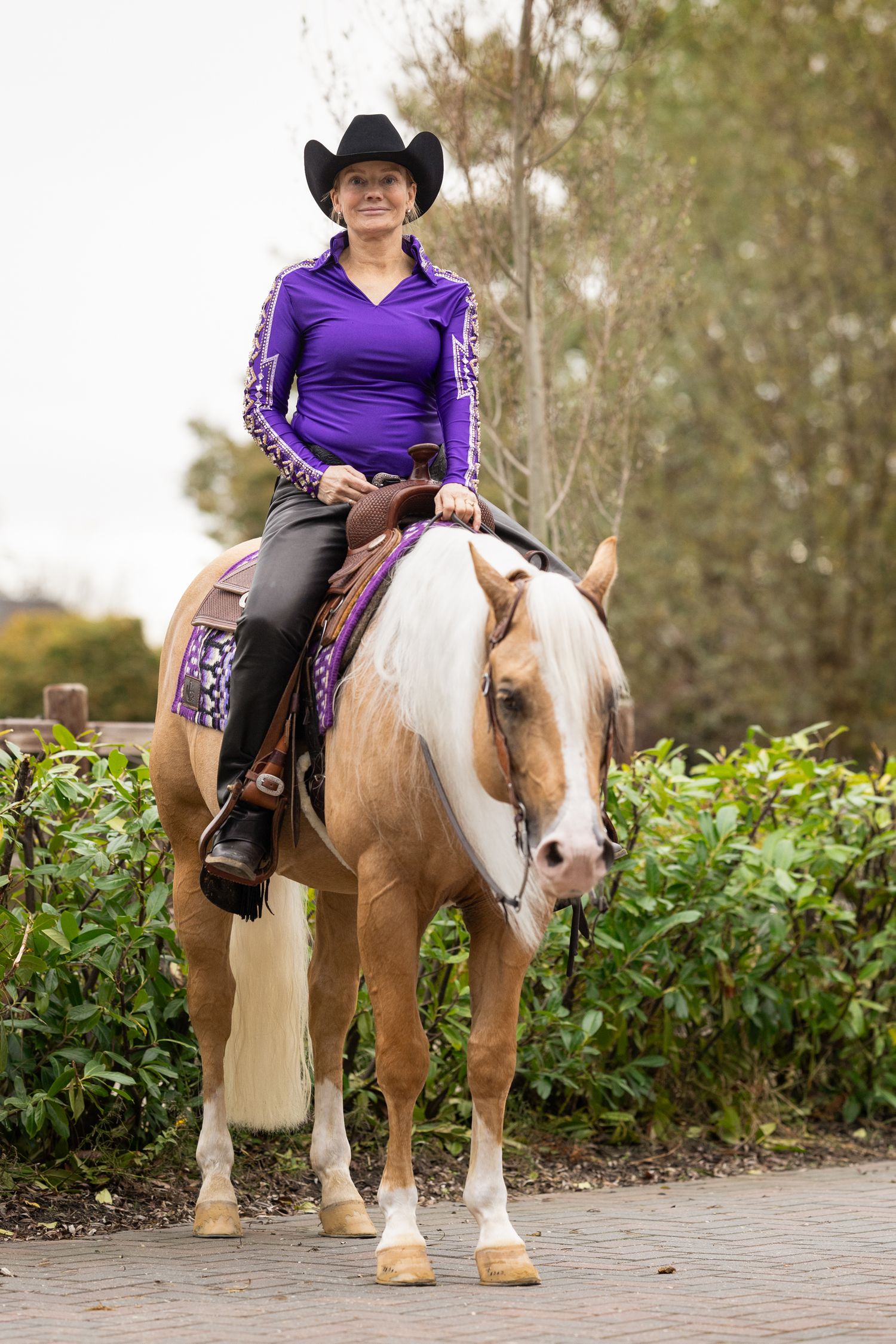 Palomino horse with western tack and purple-clad rider in outdoor setting.