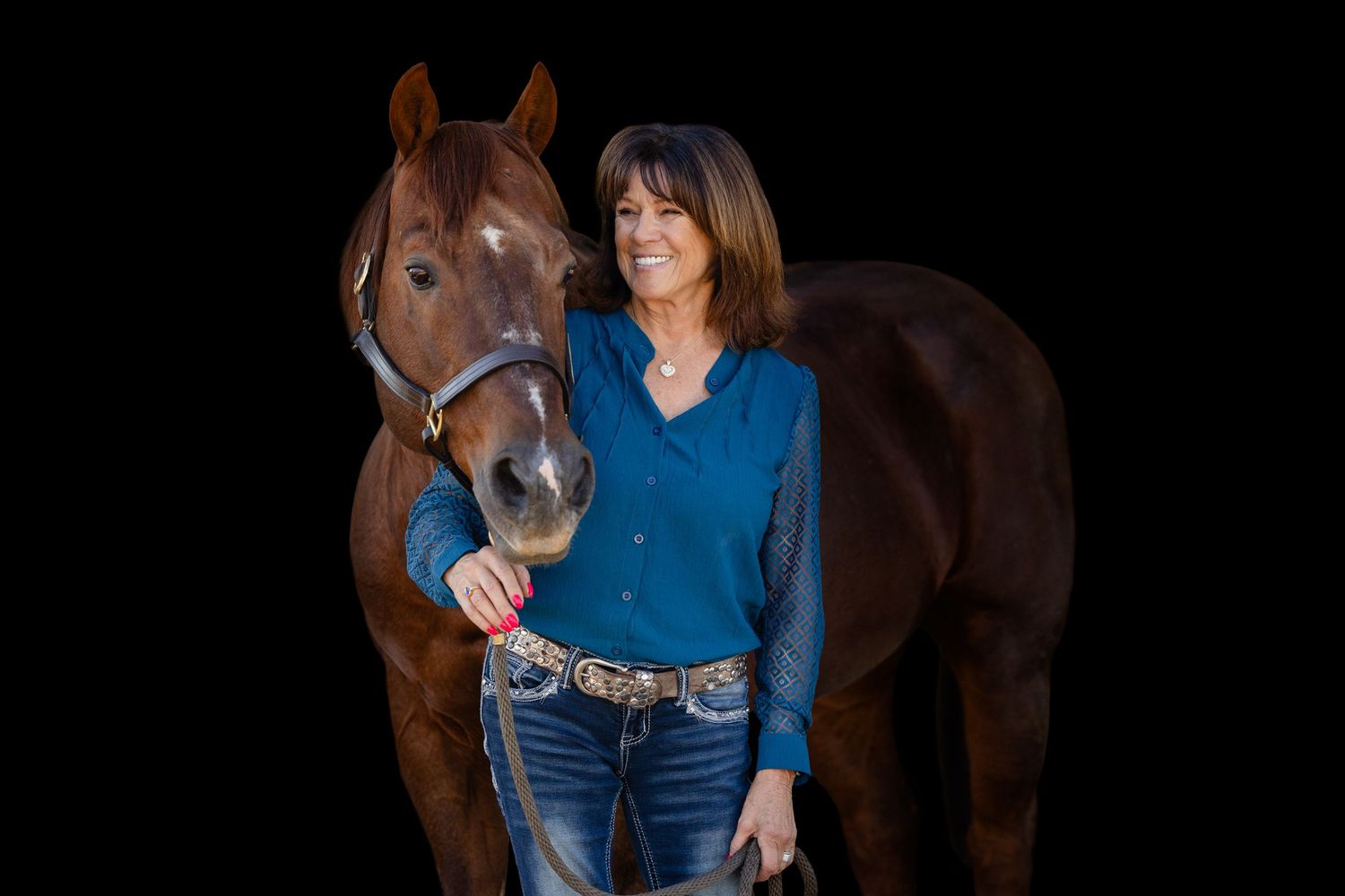 Portrait series of a chestnut horse with a person in blue against a black background.
