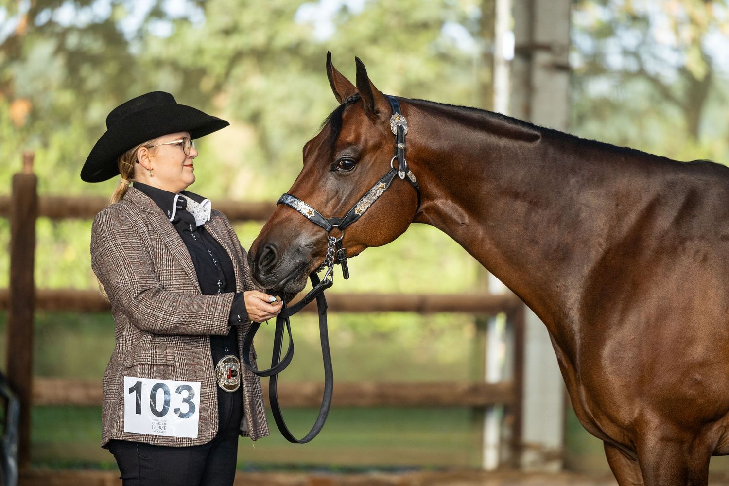 Woman in black hat holds reins of chestnut horse at equestrian show, wearing number 103 competitor bib.