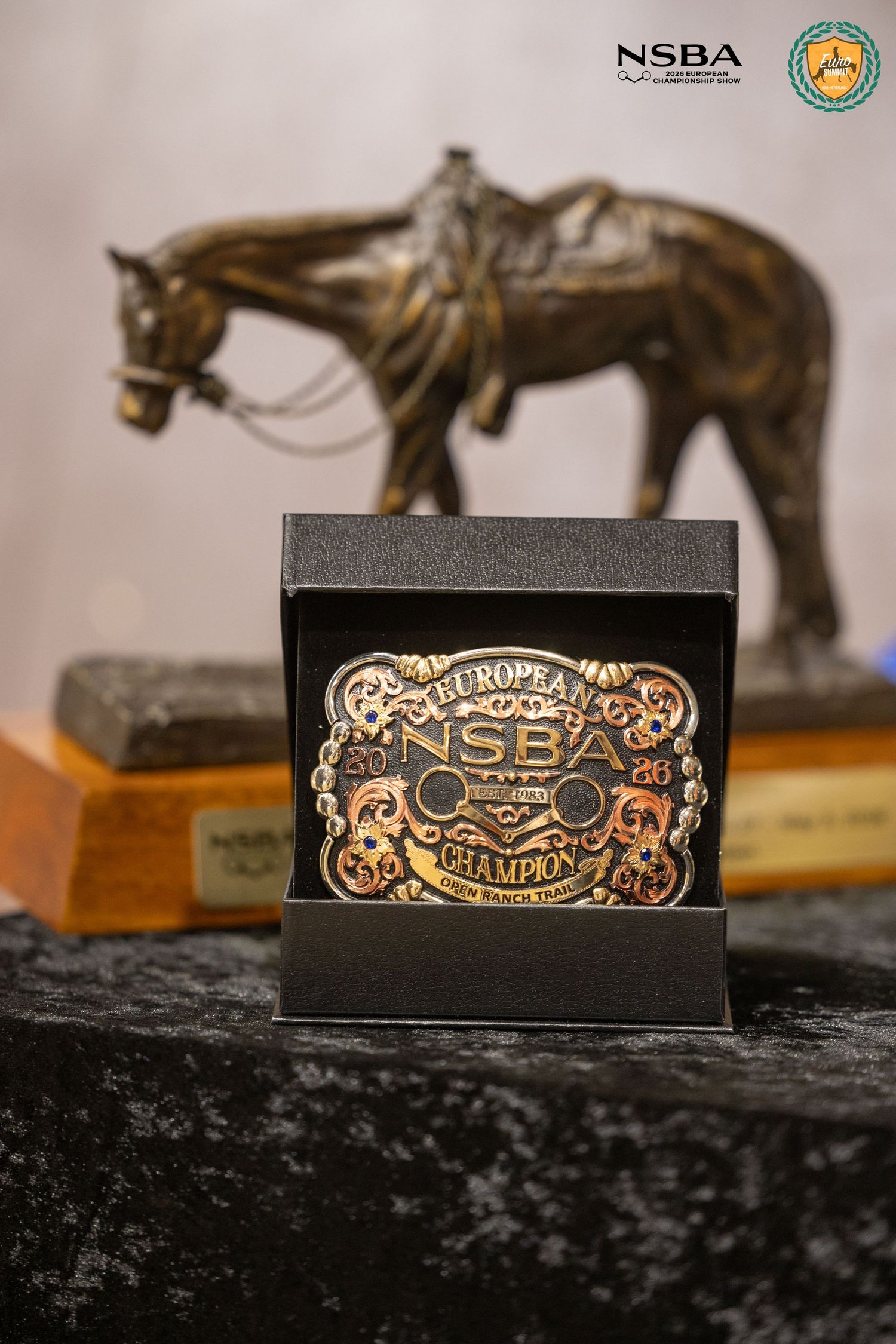 NSBA European Champion belt buckle in display box with bronze horse trophy in background.