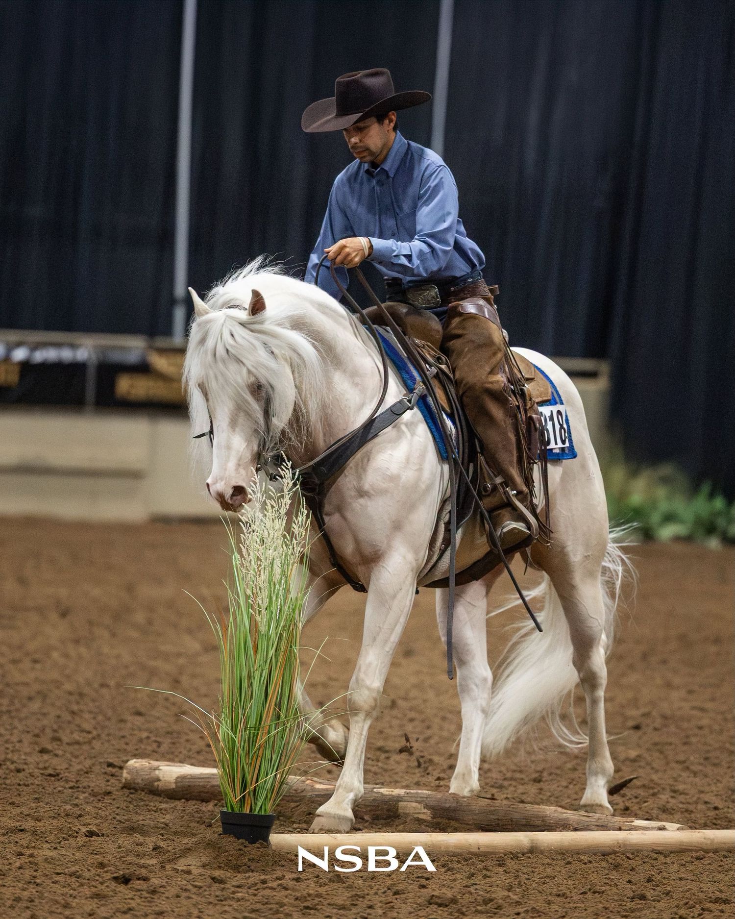 Rider in cowboy hat on white horse navigating trail obstacle at NSBA equestrian competition.
