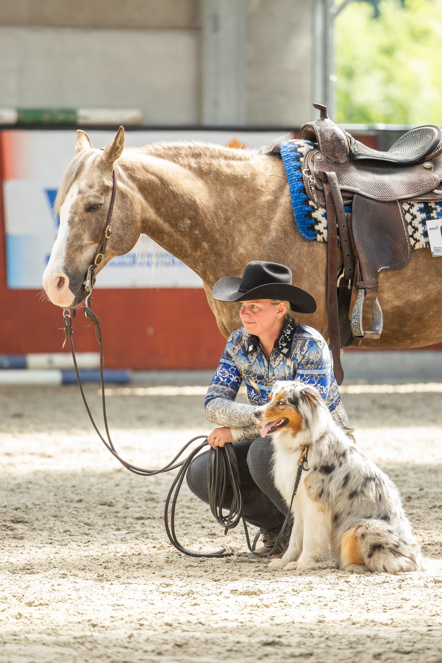 A horse and dog team performing together during an indoor equestrian event.
