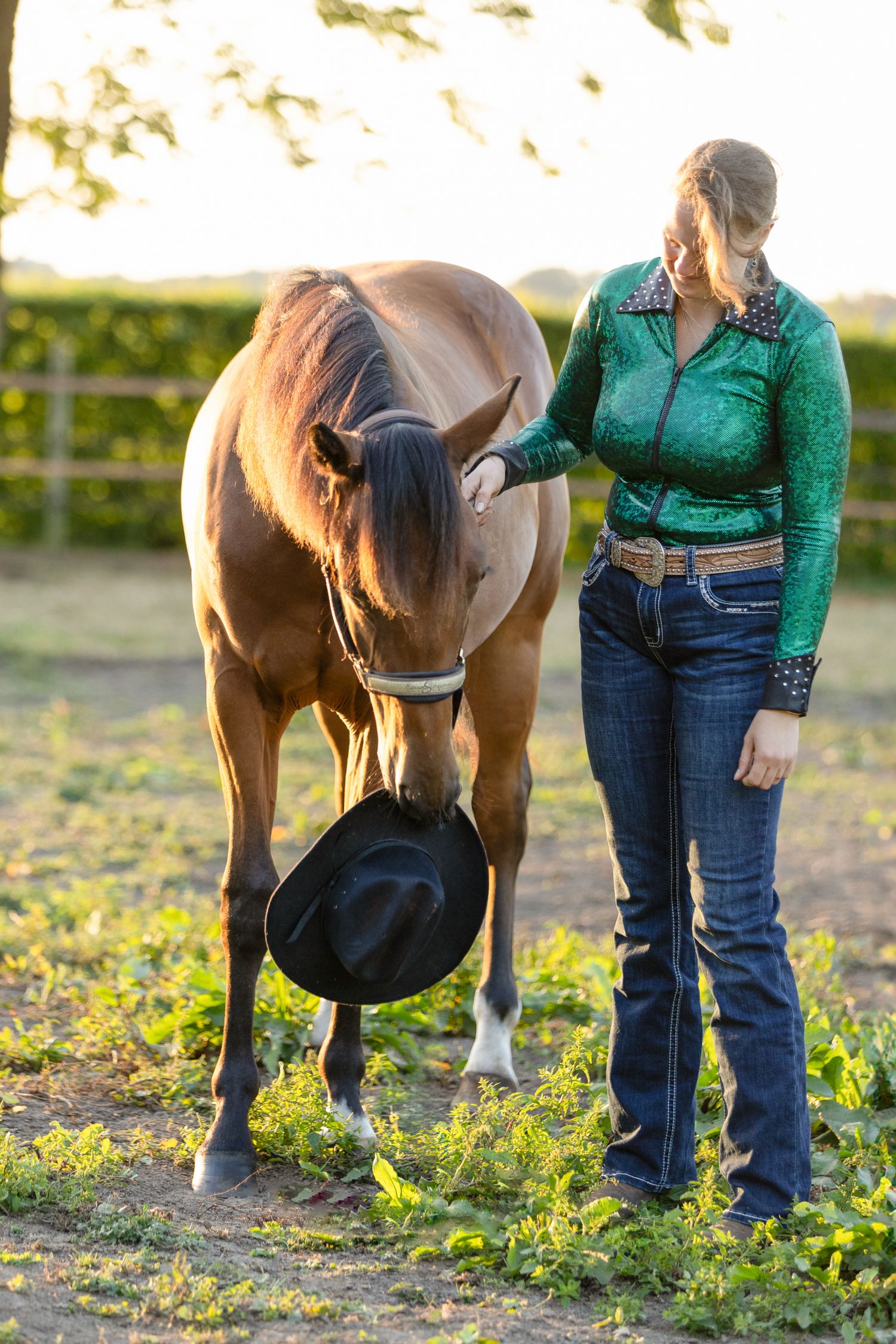 People and horses interact in a sunlit field with green grass.