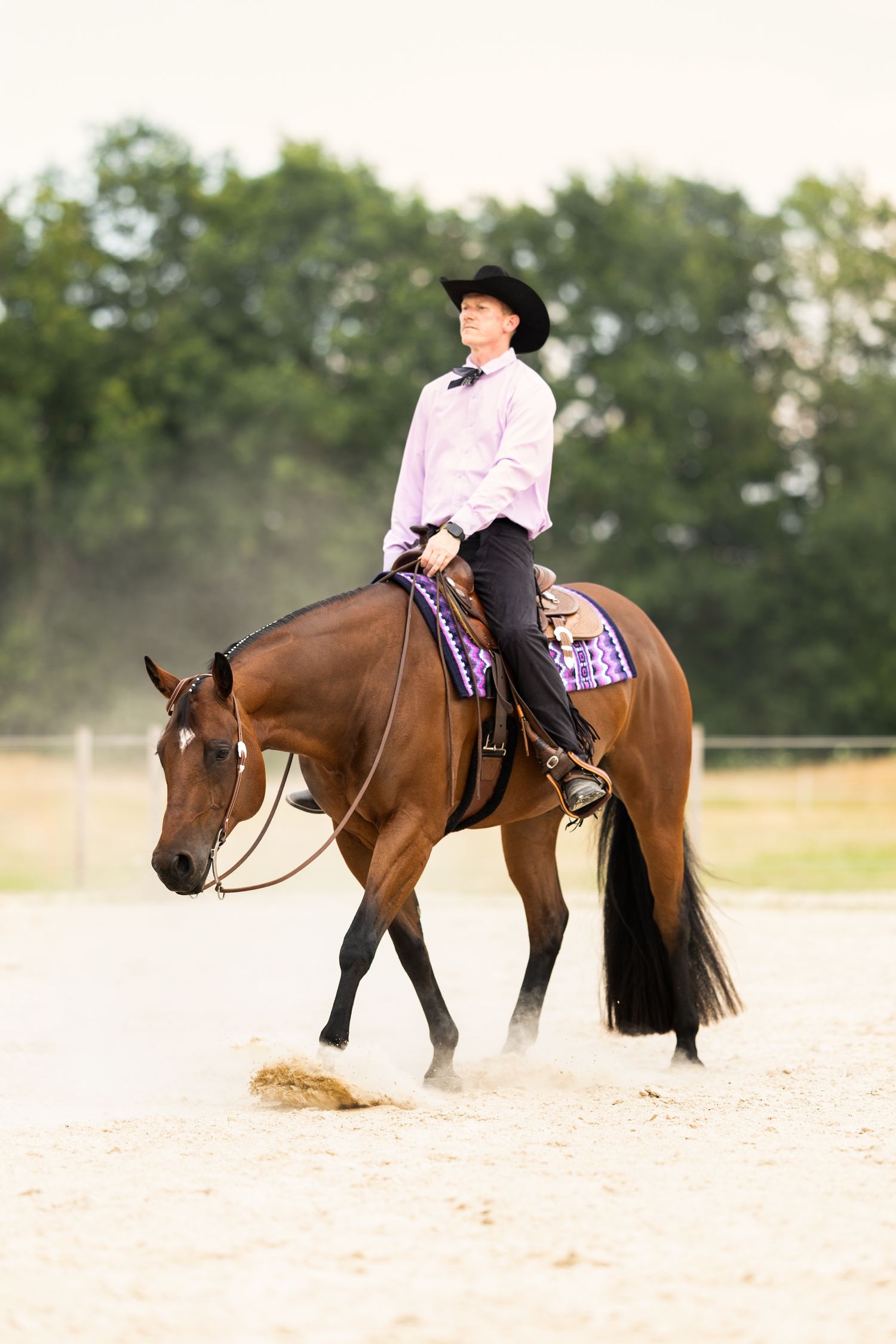 A western rider in black attire guides a brown horse during an equestrian competition in an outdoor arena.